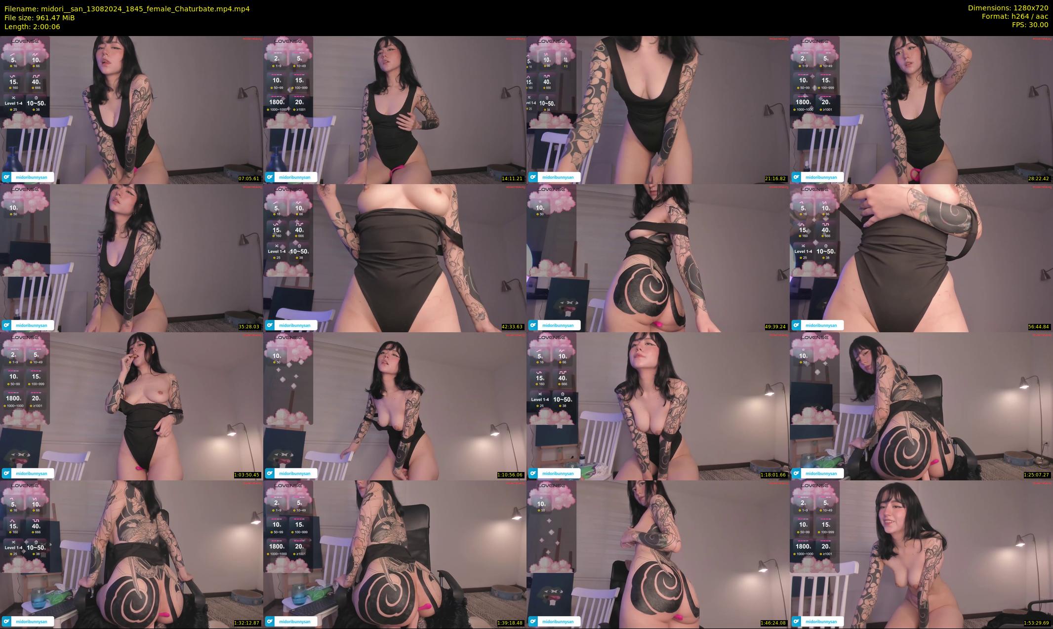 midori__san — 121 minute Chaturbate female cam show recording, 720p, Aug 13, 2024