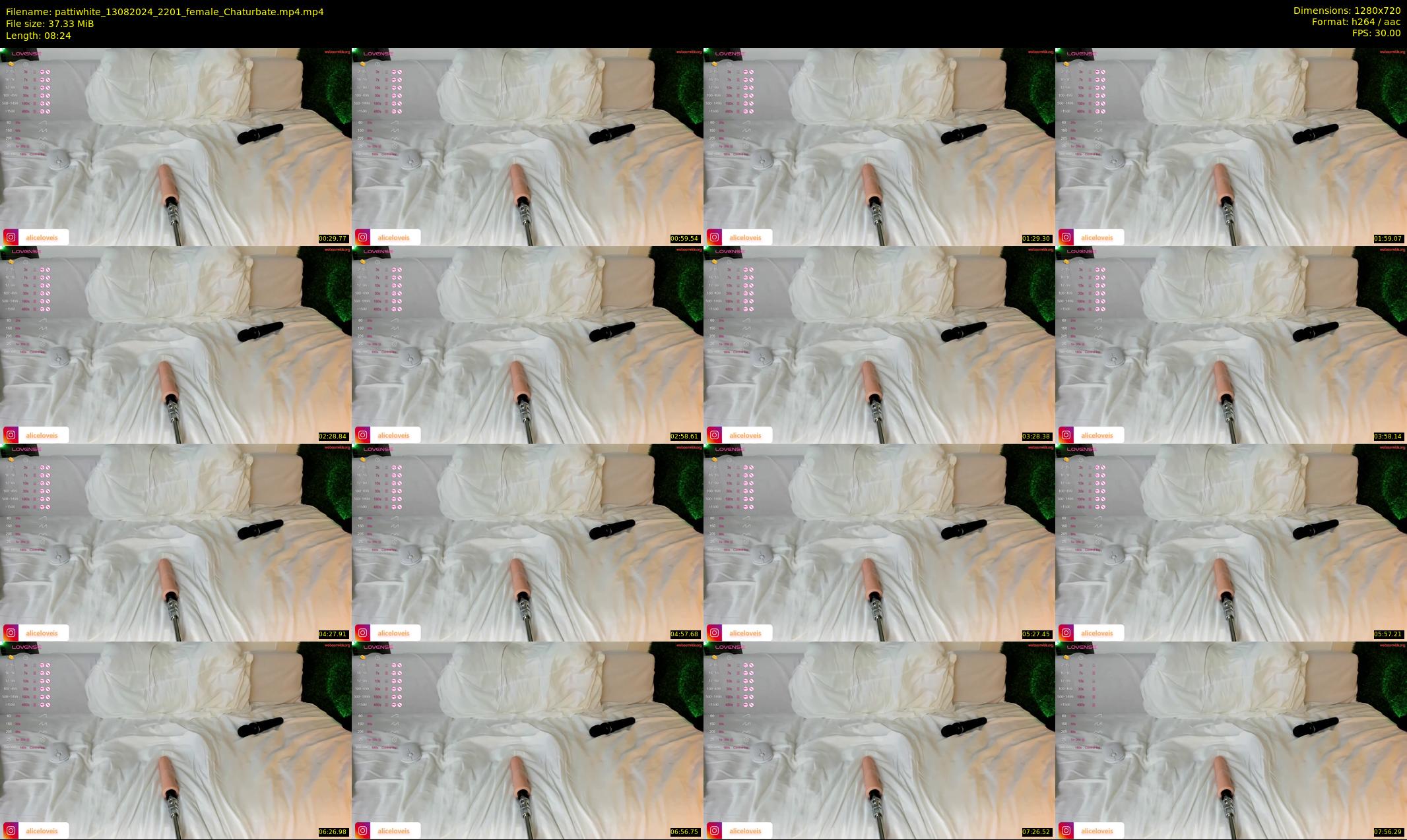 pattiwhite — 9 minute Chaturbate female cam show recording, 720p, Aug 13, 2024