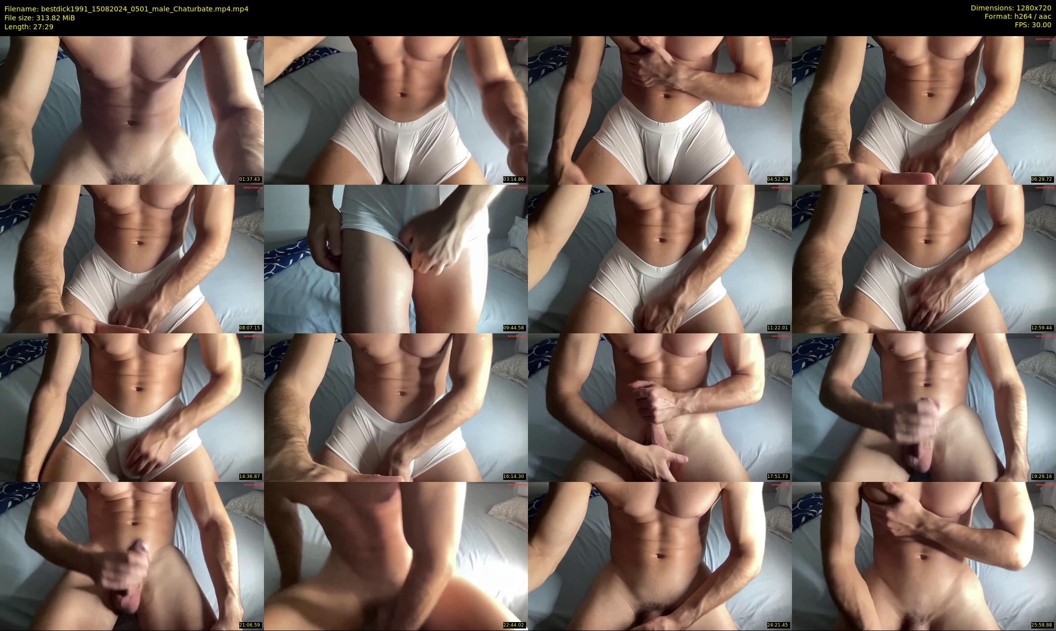 bestdick1991 — 28 minute Chaturbate male cam show recording, 720p, Aug 15, 2024