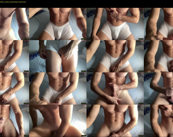 bestdick1991 — 28 minute Chaturbate male cam show recording, 720p, Aug 15, 2024