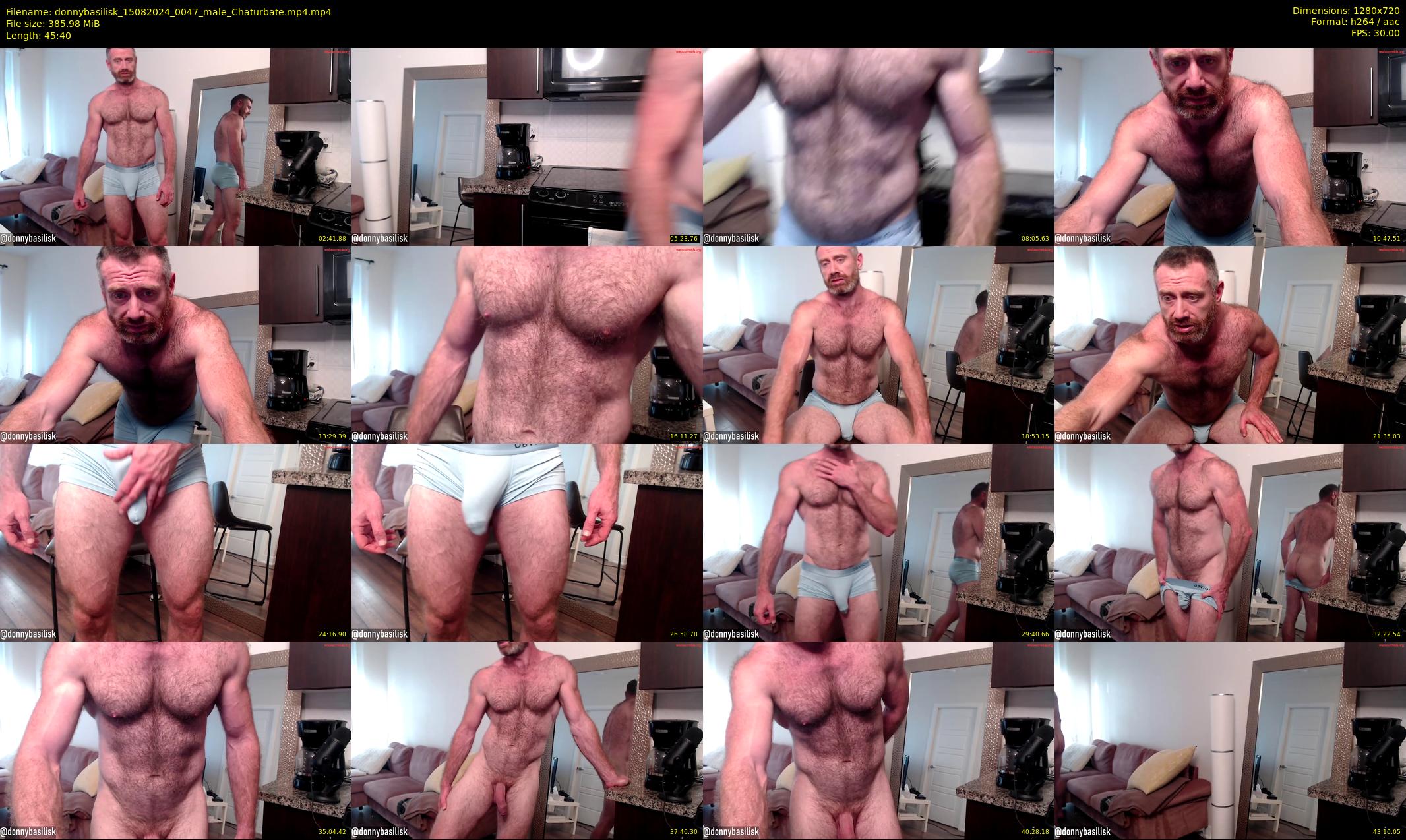 donnybasilisk — 46 minute Chaturbate male cam show recording, 720p, Aug 15, 2024