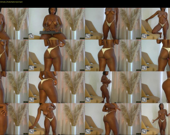 sow_fitt — 24 minute Chaturbate female cam show recording, 720p, Aug 15, 2024