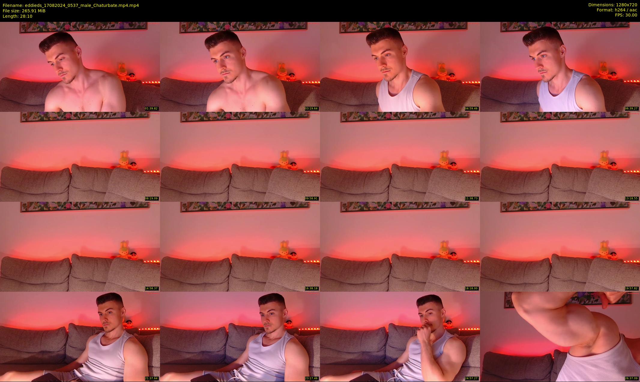 eddieds — 29 minute Chaturbate male cam show recording, 720p, Aug 17, 2024