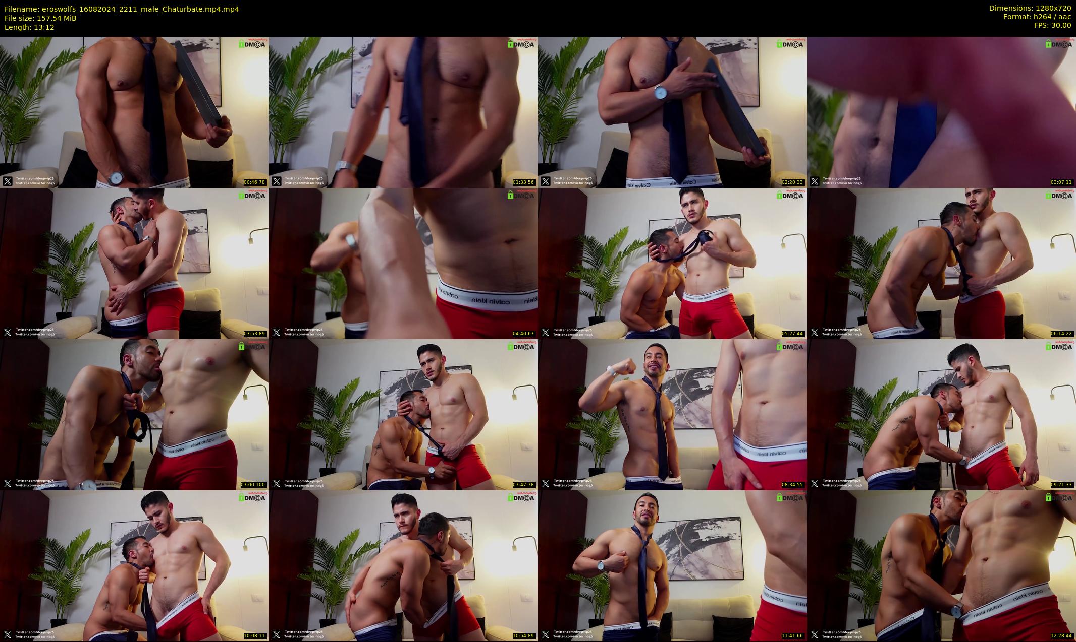 eroswolfs — 14 minute Chaturbate male cam show recording, 720p, Aug 16, 2024
