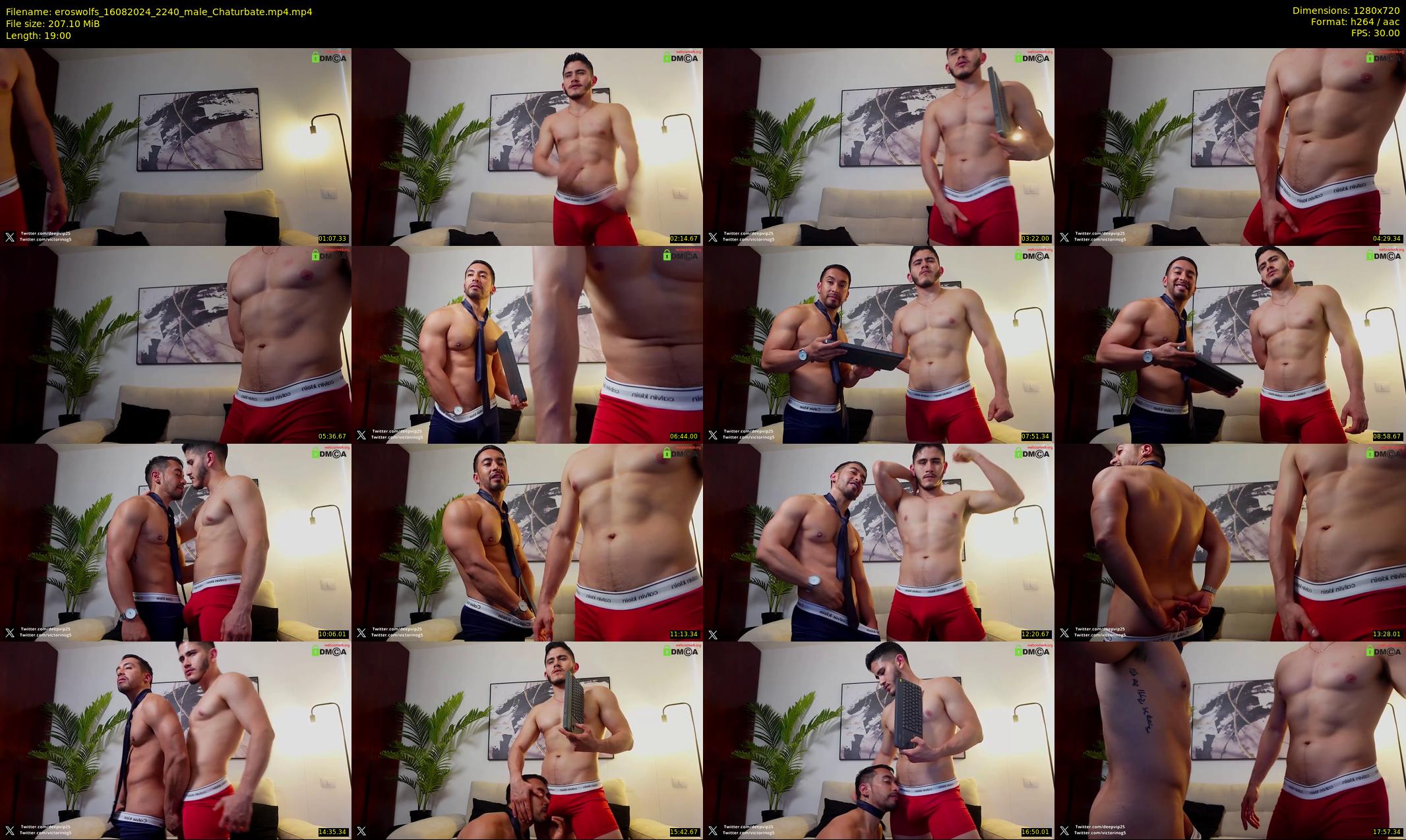 eroswolfs — 19 minute Chaturbate male cam show recording, 720p, Aug 16, 2024