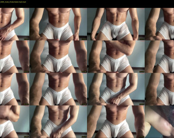 bestdick1991 — 13 minute Chaturbate male cam show recording, 720p, Aug 17, 2024