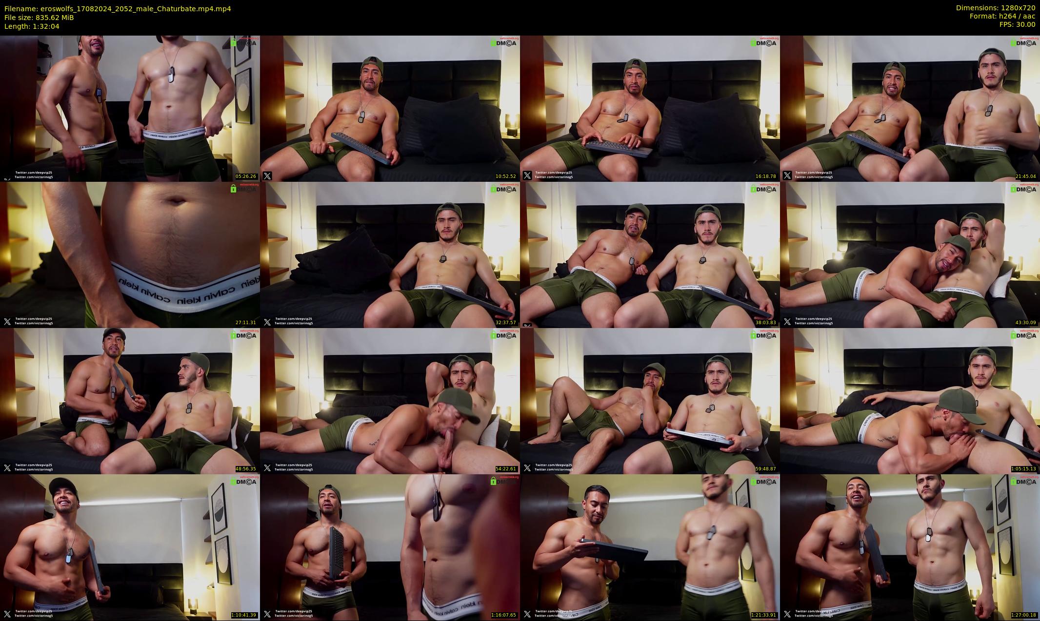eroswolfs — 93 minute Chaturbate male cam show recording, 720p, Aug 17, 2024