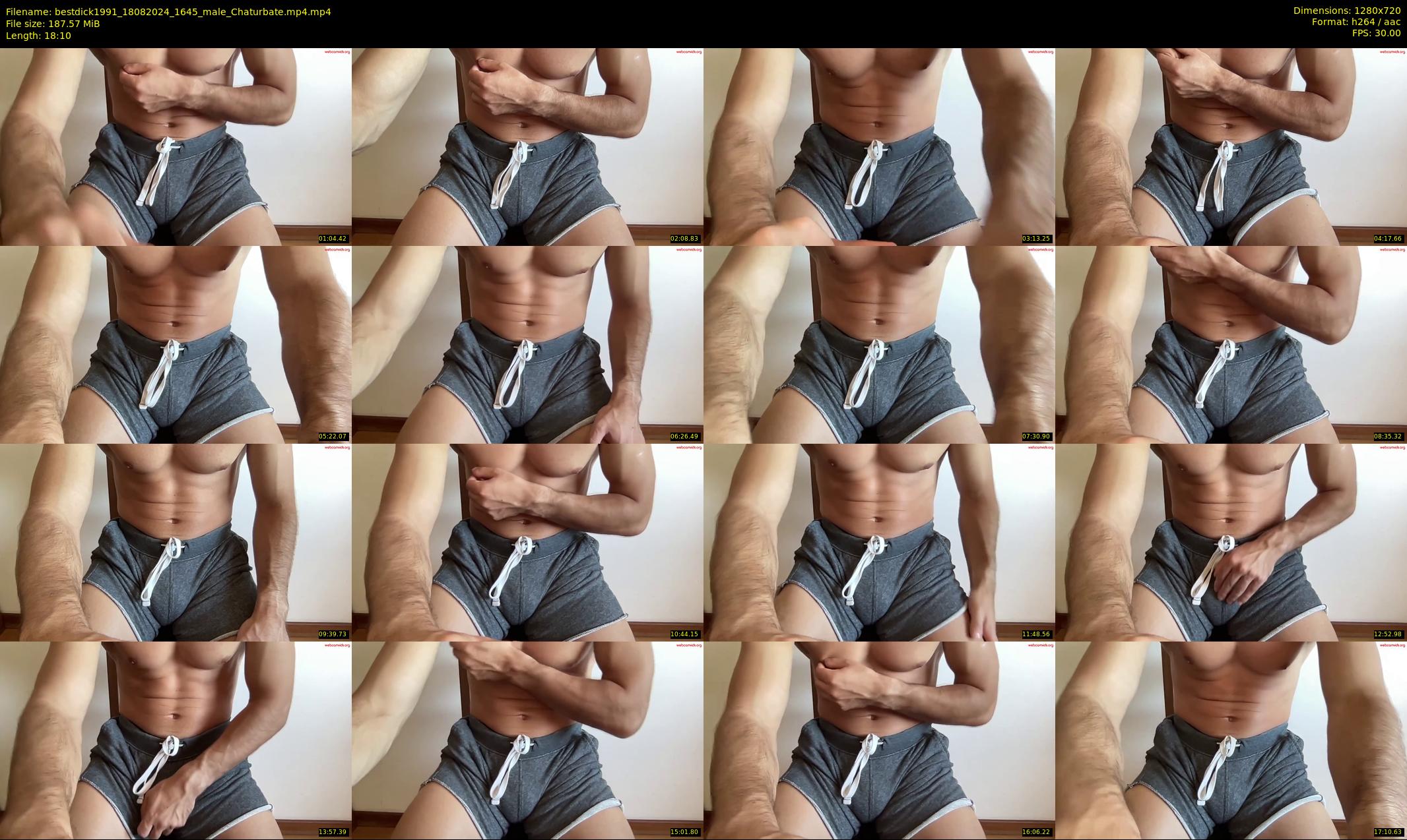 bestdick1991 — 19 minute Chaturbate male cam show recording, 720p, Aug 18, 2024