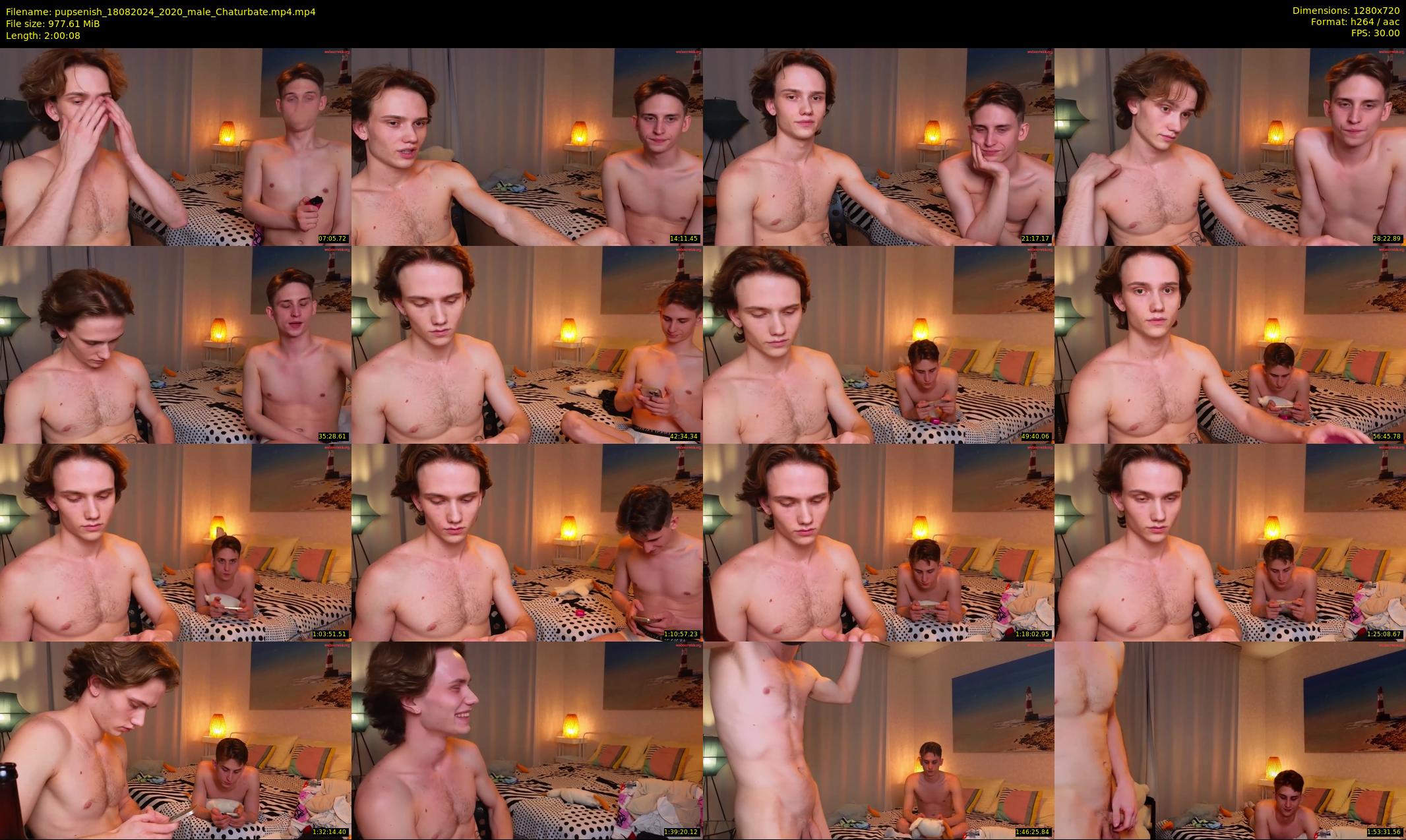 pupsenish — 121 minute Chaturbate male cam show recording, 720p, Aug 18, 2024