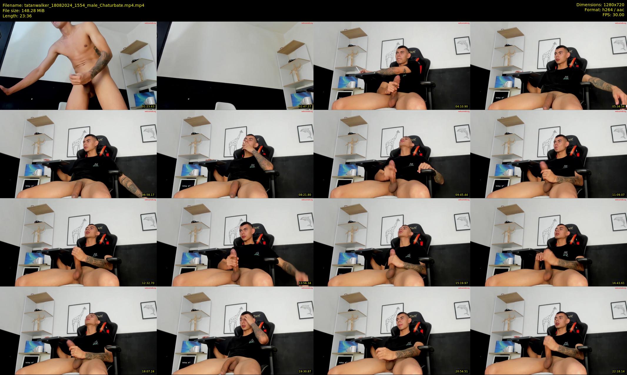 tatanwalker — 24 minute Chaturbate male cam show recording, 720p, Aug 18, 2024
