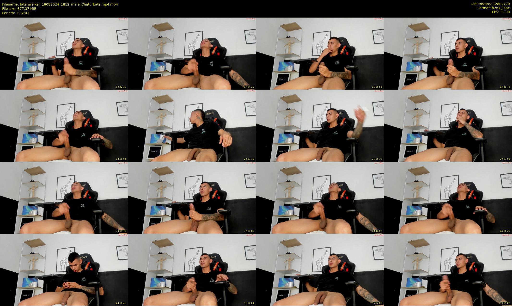 tatanwalker — 63 minute Chaturbate male cam show recording, 720p, Aug 18, 2024