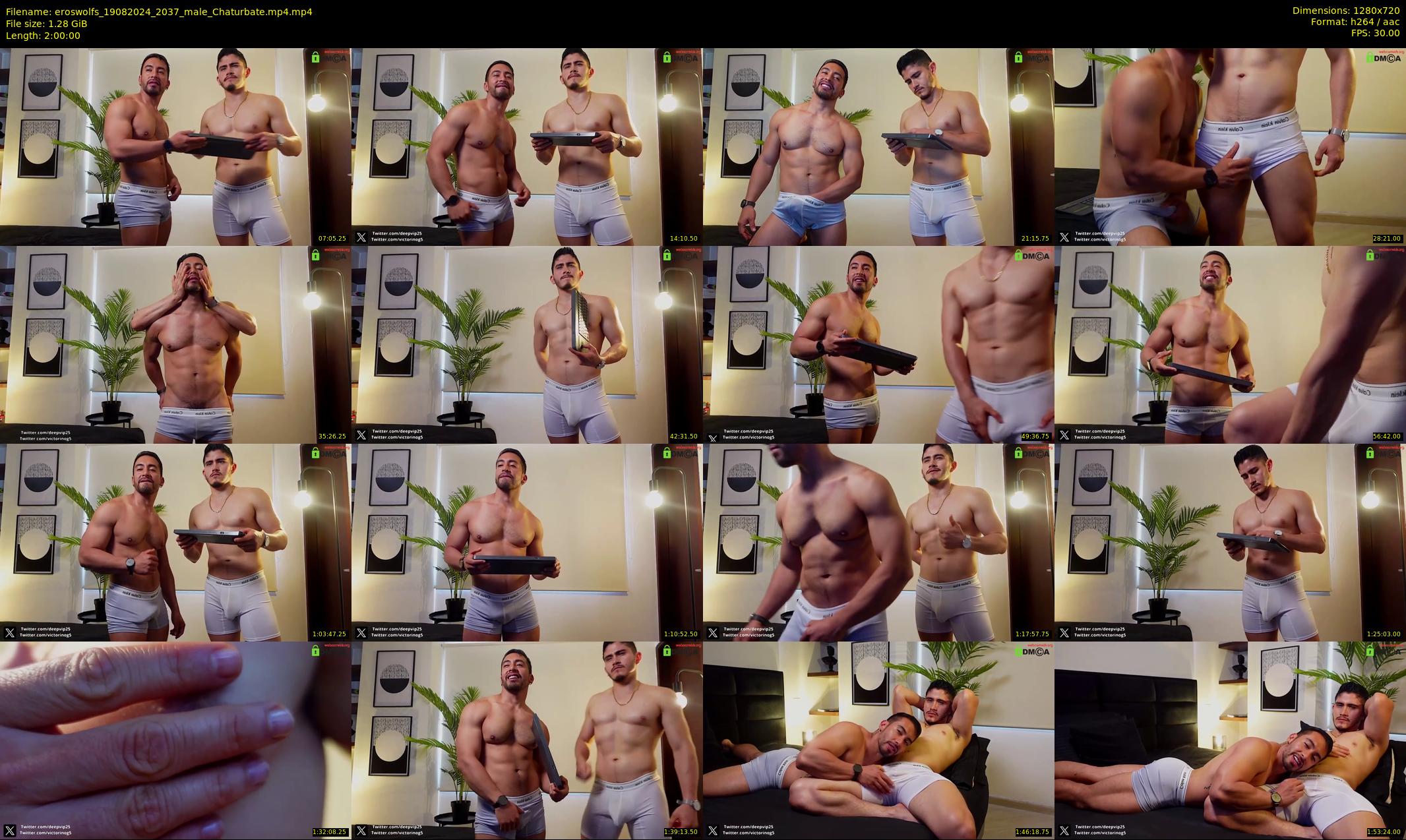 eroswolfs — 120 minute Chaturbate male cam show recording, 720p, Aug 19, 2024