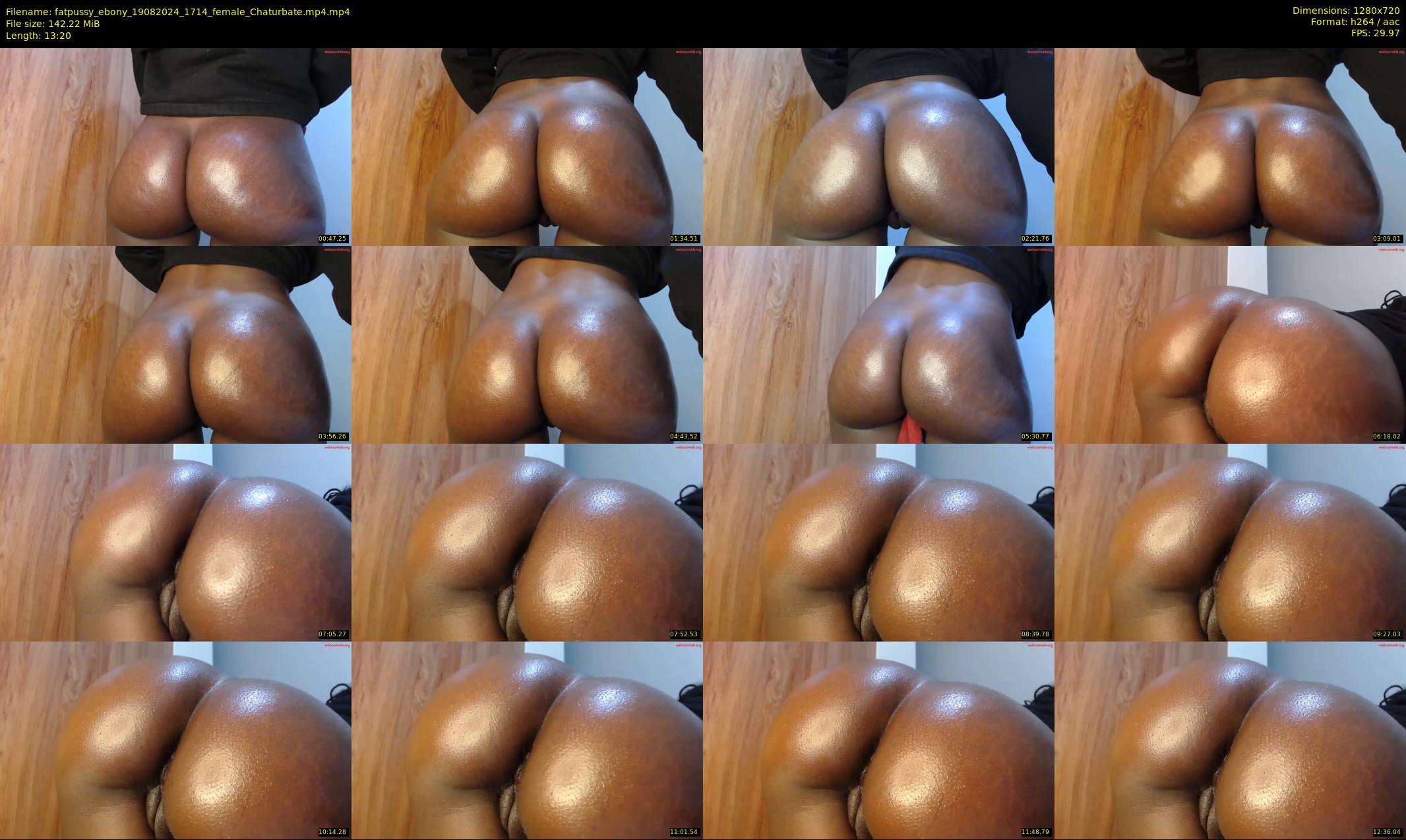 fatpussy_ebony — 14 minute Chaturbate female cam show recording, 720p, Aug 19, 2024