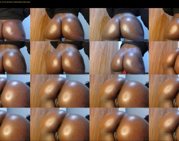 fatpussy_ebony — 14 minute Chaturbate female cam show recording, 720p, Aug 19, 2024