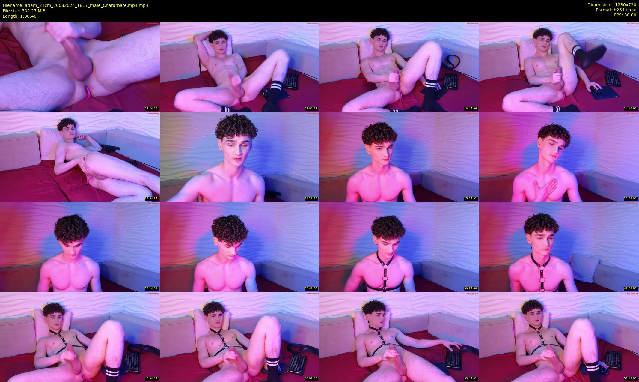 adam_21cm — 61 minute Chaturbate male cam show recording, 720p, Aug 20, 2024