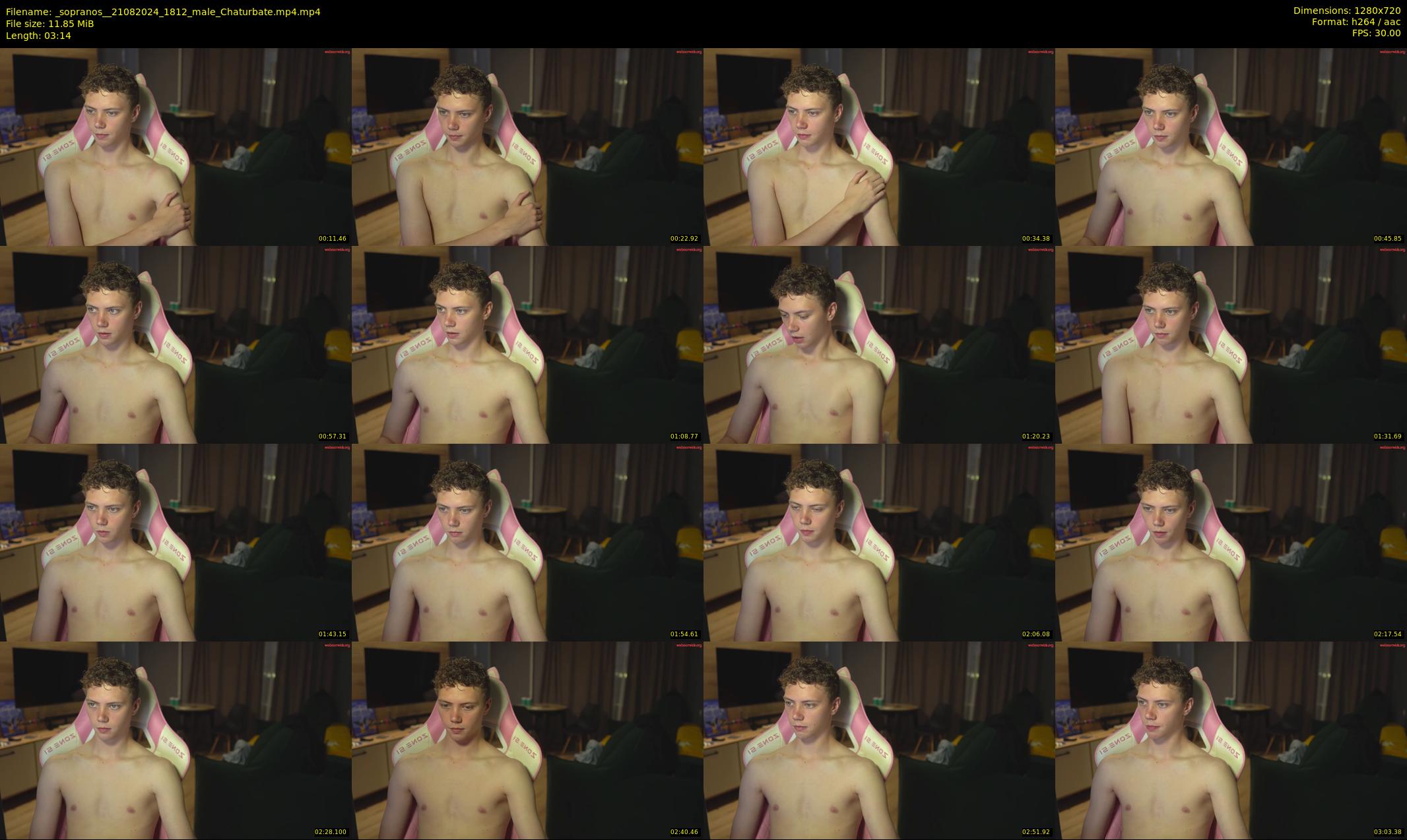 _sopranos_ — 4 minute Chaturbate male cam show recording, 720p, Aug 21, 2024