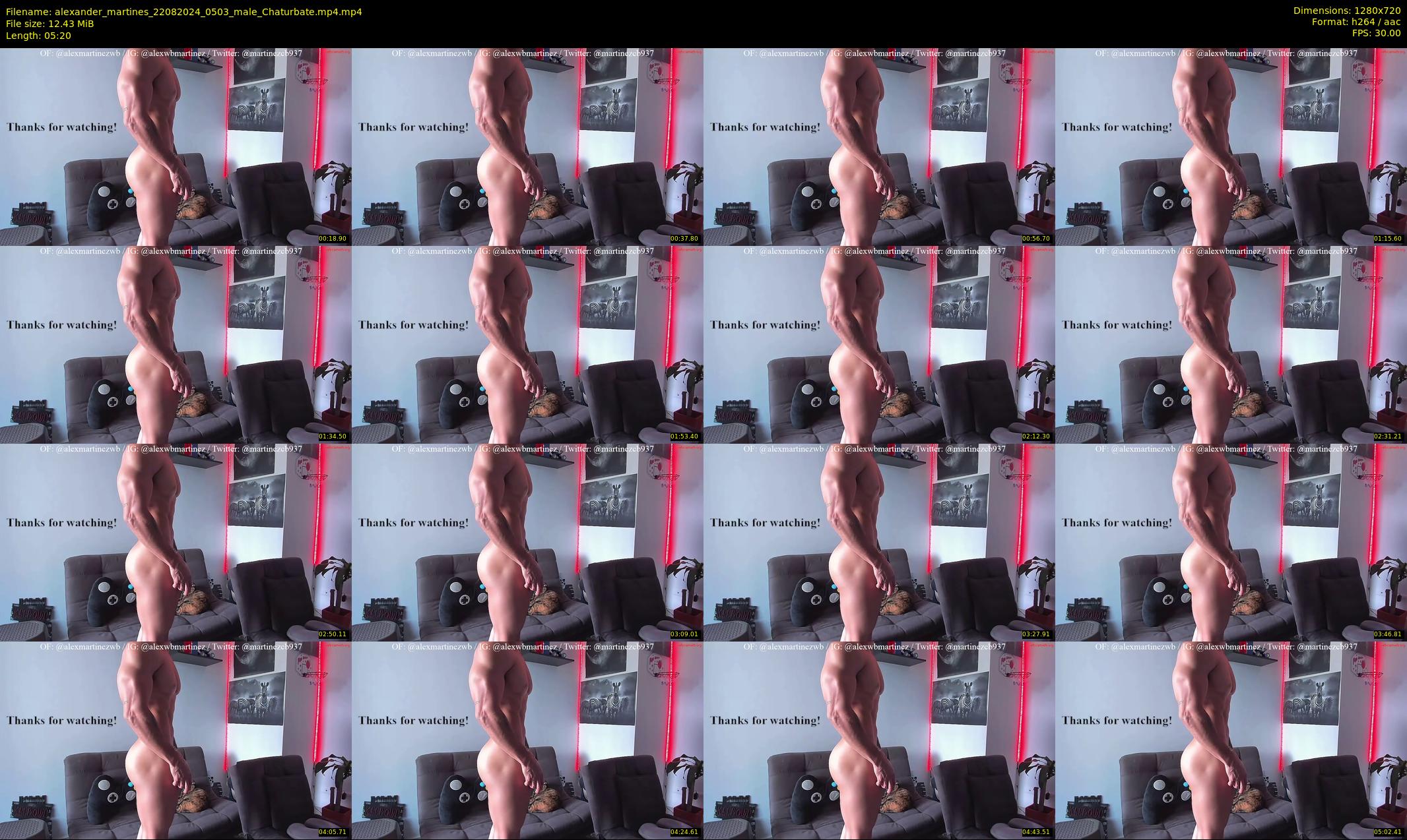 alexander_martines — 6 minute Chaturbate male cam show recording, 720p, Aug 22, 2024