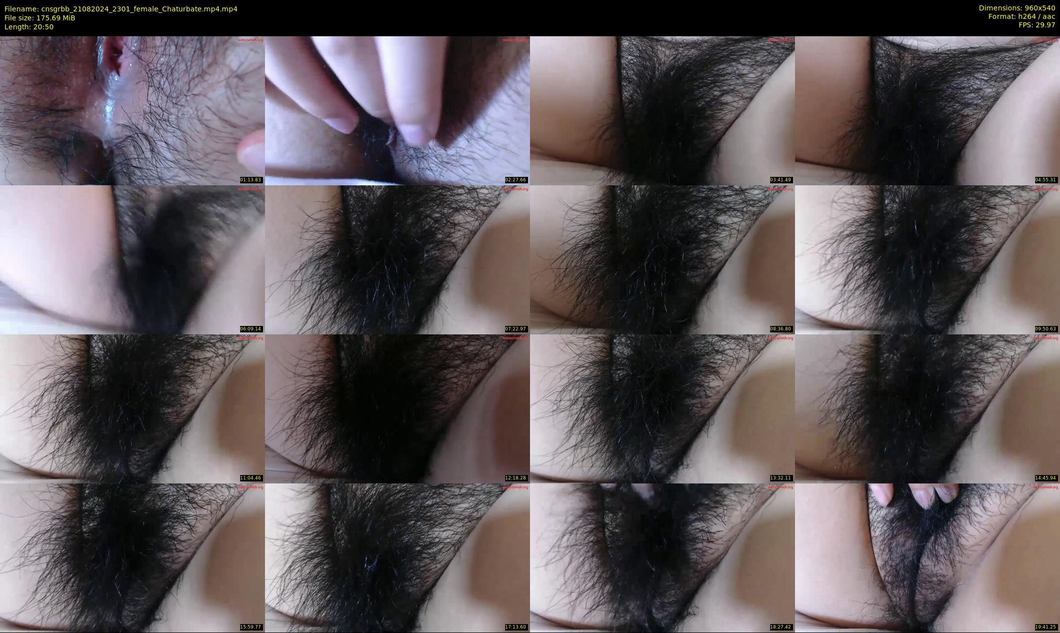 cnsgrbb — 21 minute Chaturbate female cam show recording, 480p, Aug 21, 2024
