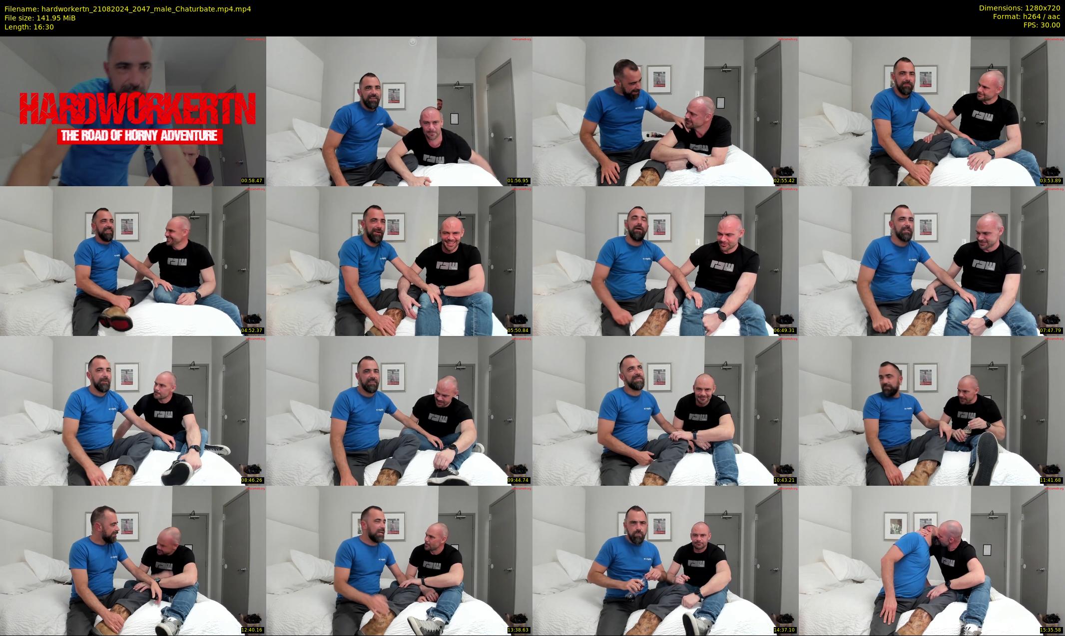 hardworkertn — 17 minute Chaturbate male cam show recording, 720p, Aug 21, 2024