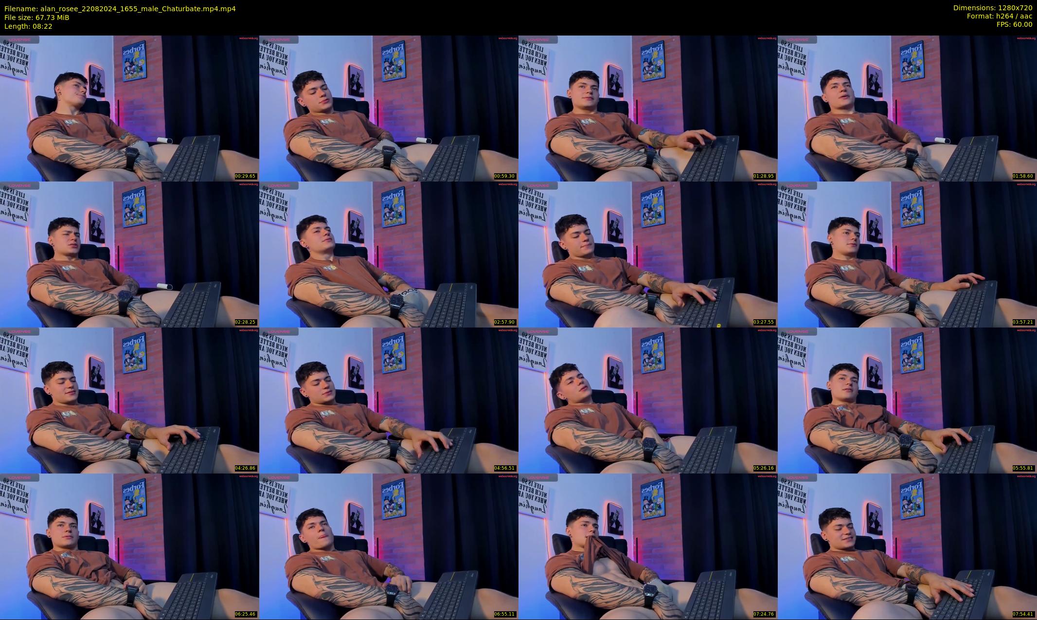 alan_rosee — 9 minute Chaturbate male cam show recording, 720p, Aug 22, 2024