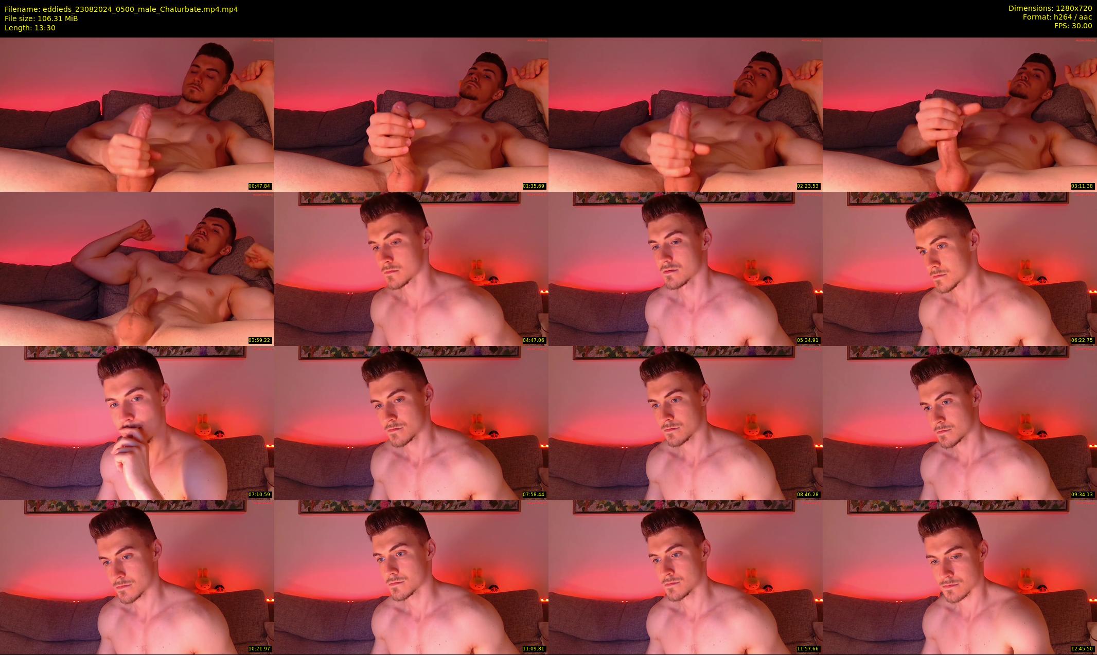 eddieds — 14 minute Chaturbate male cam show recording, 720p, Aug 23, 2024