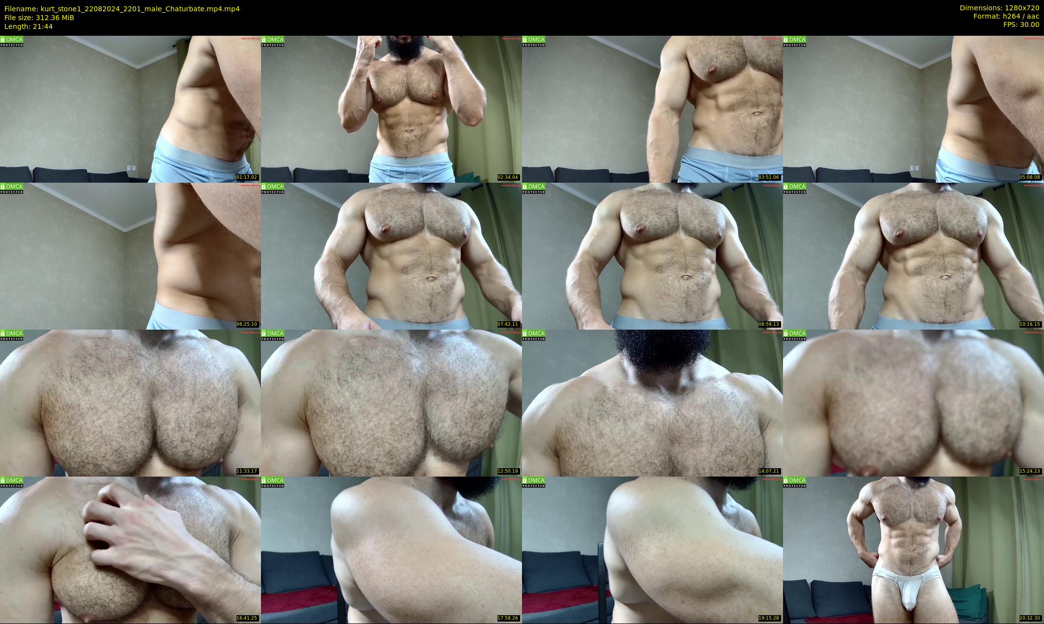 kurt_stone1 — 22 minute Chaturbate male cam show recording, 720p, Aug 22, 2024