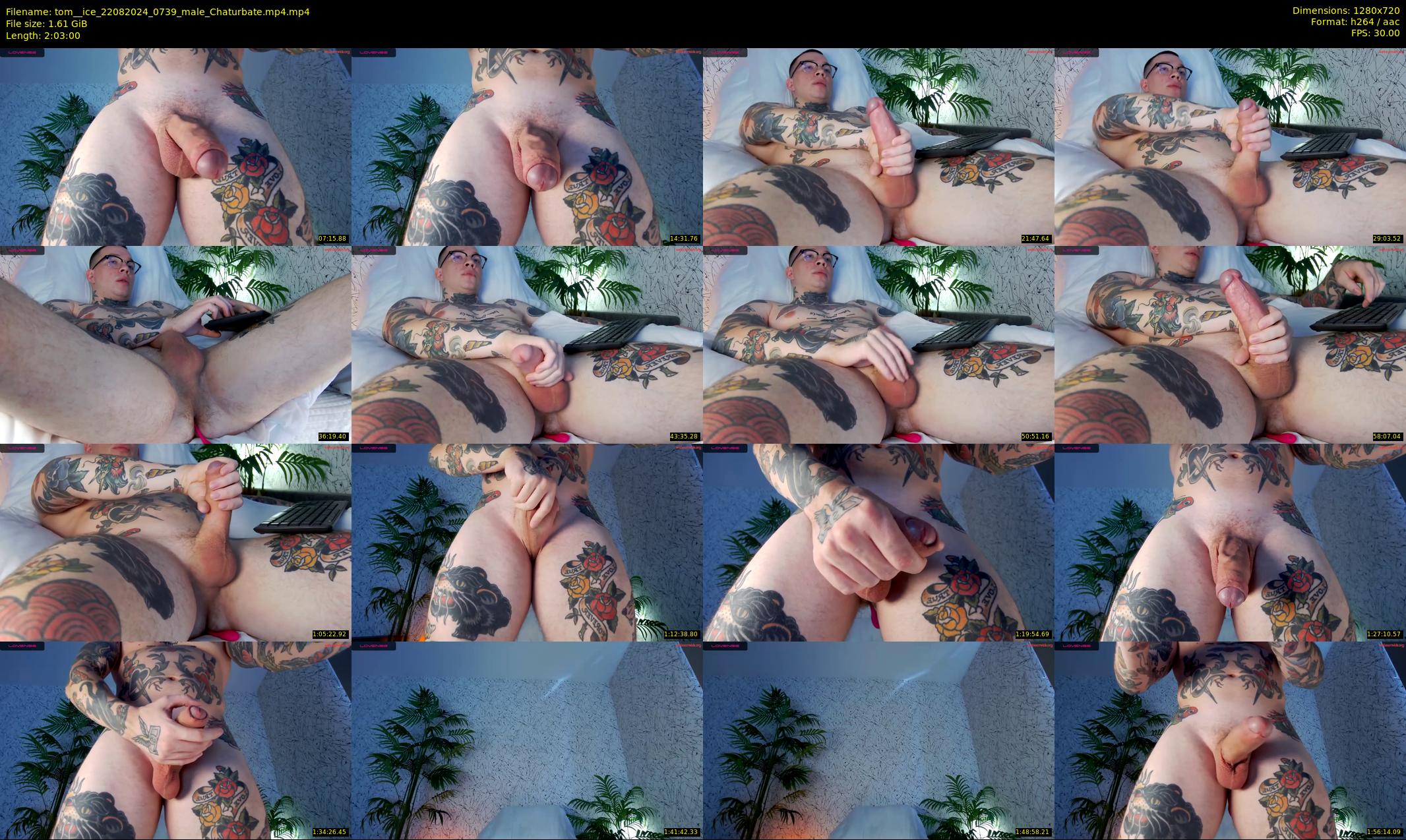 tom__ice — 123 minute Chaturbate male cam show recording, 720p, Aug 22, 2024