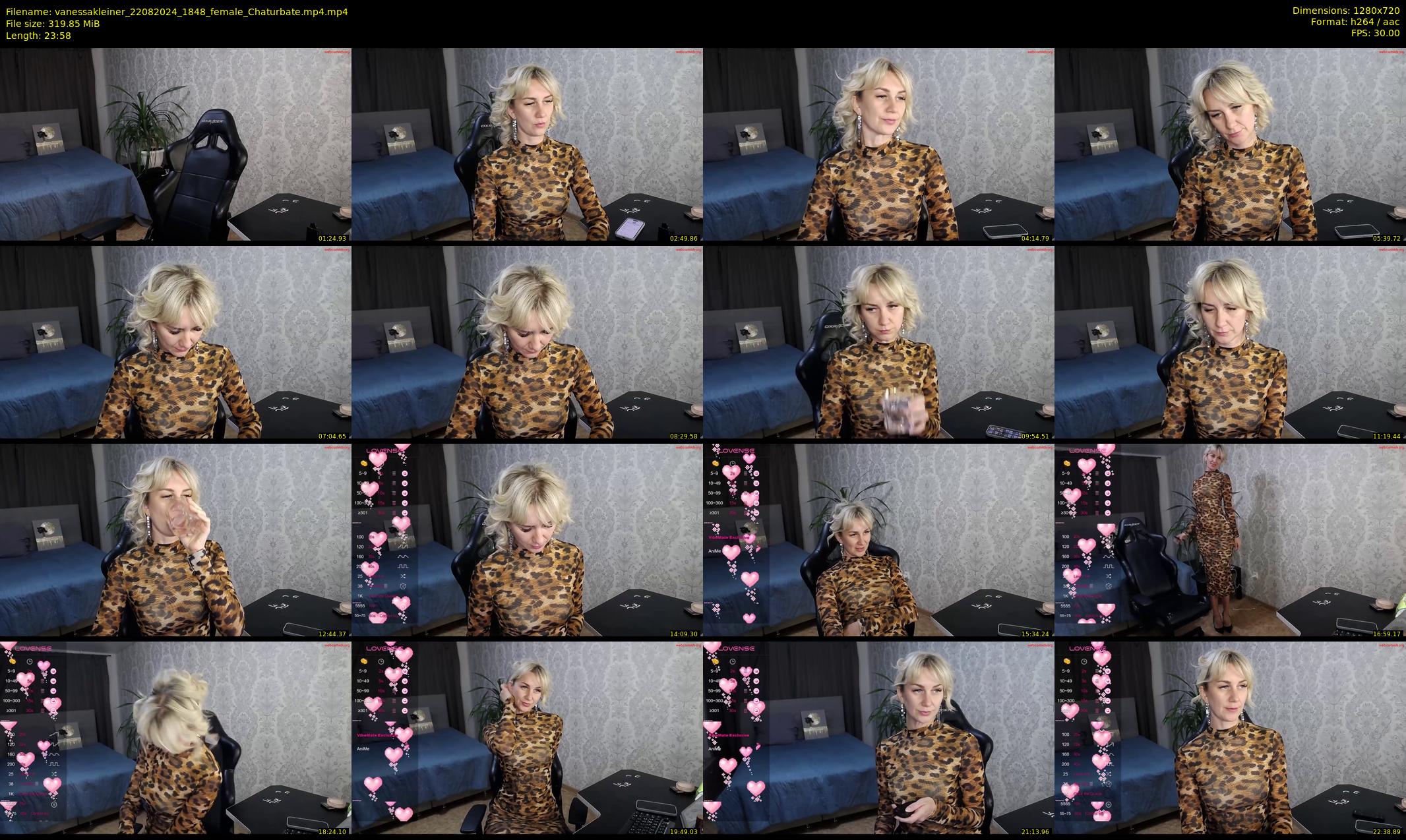 vanessakleiner — 24 minute Chaturbate female cam show recording, 720p, Aug 22, 2024
