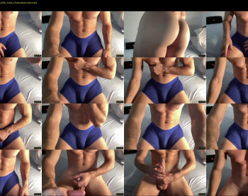 bestdick1991 — 42 minute Chaturbate male cam show recording, 720p, Aug 24, 2024