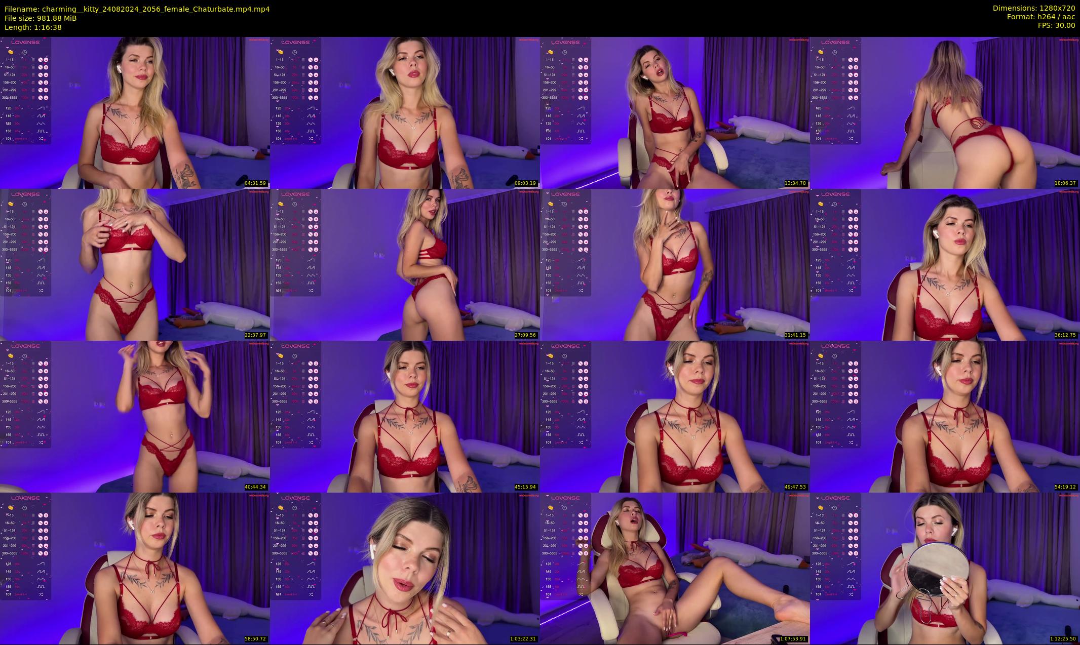 charming__kitty — 77 minute Chaturbate female cam show recording, 720p, Aug 24, 2024
