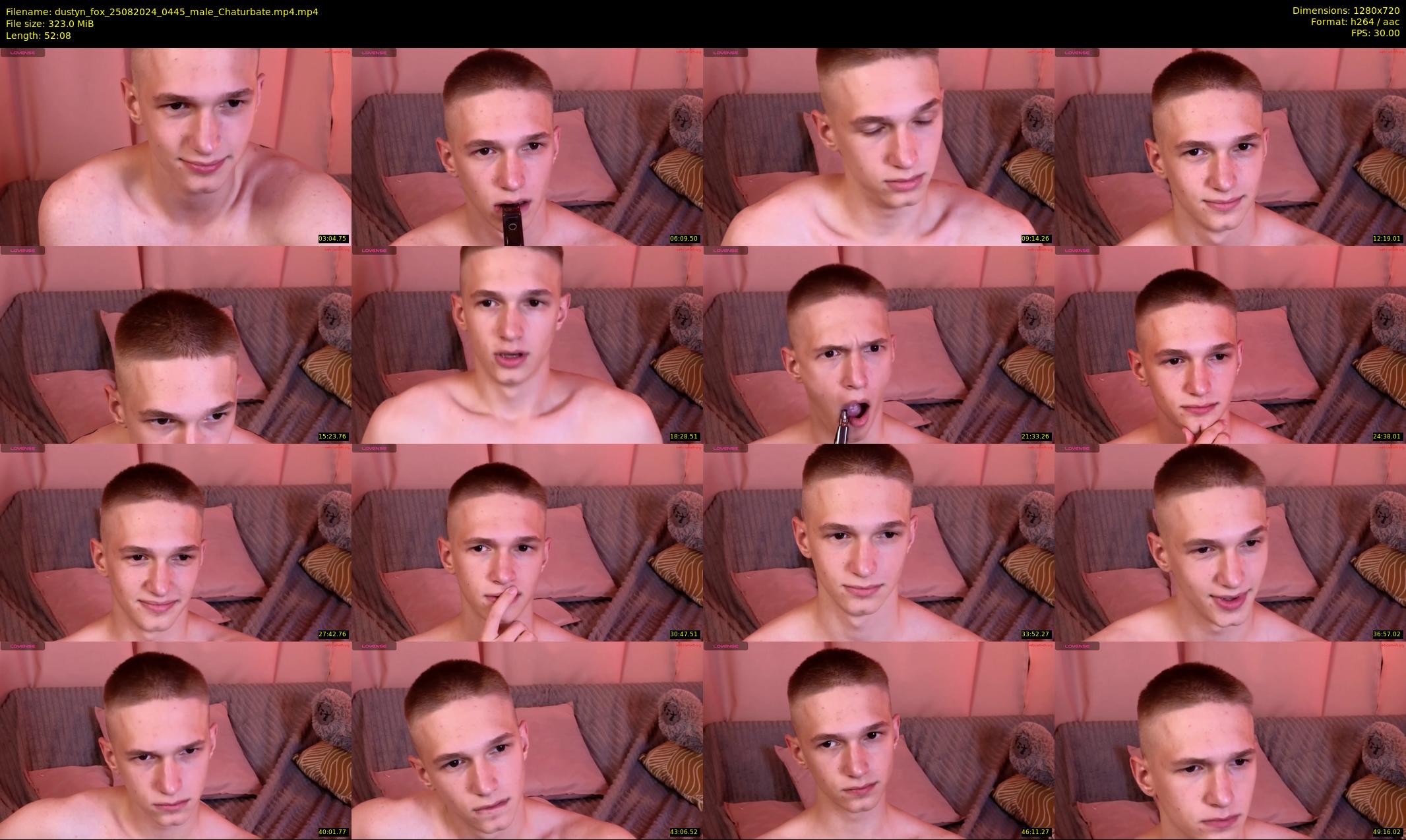 dustyn_fox — 53 minute Chaturbate male cam show recording, 720p, Aug 25, 2024