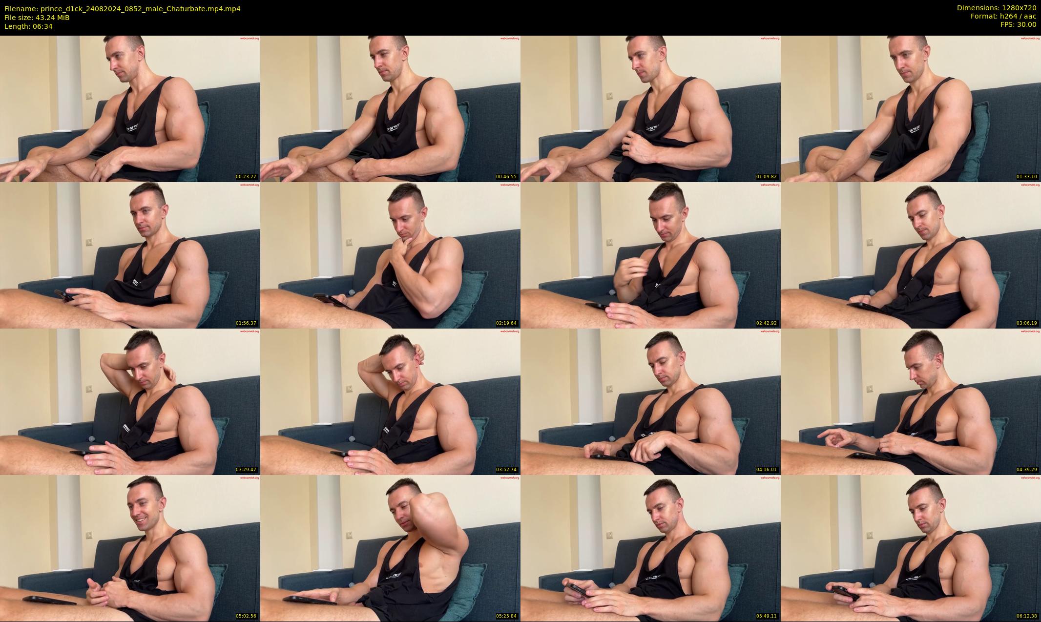 prince_d1ck — 7 minute Chaturbate male cam show recording, 720p, Aug 24, 2024