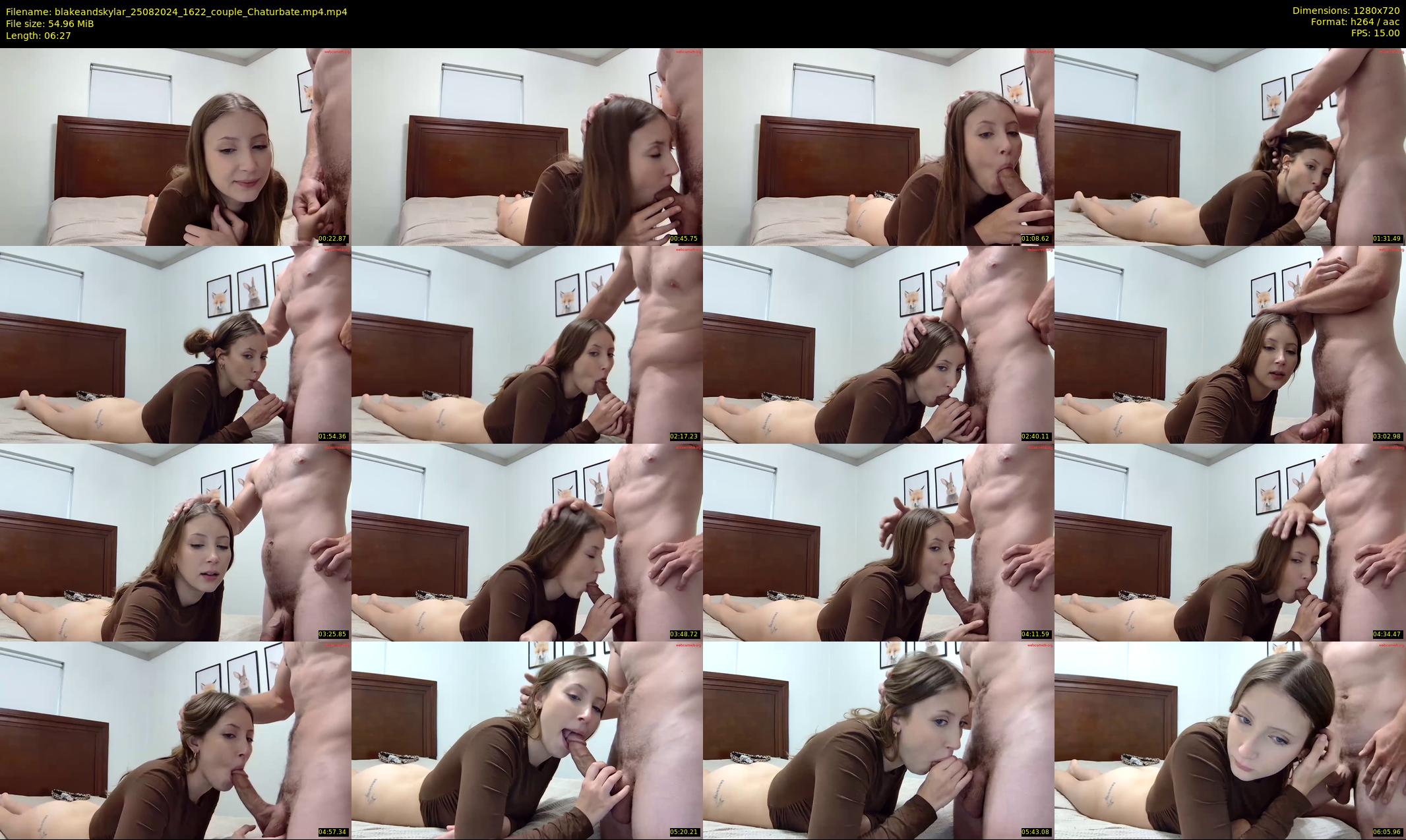 blakeandskylar — 7 minute Chaturbate couple cam show recording, 720p, Aug 25, 2024