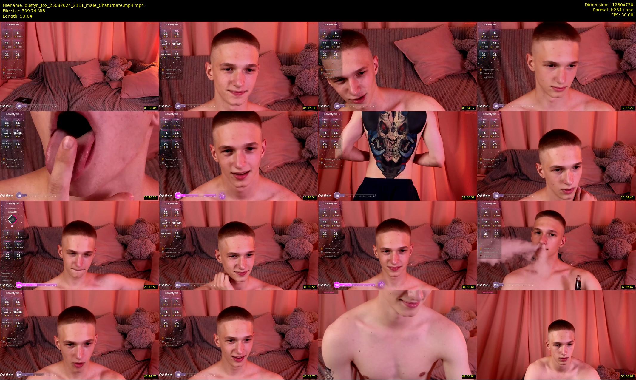 dustyn_fox — 54 minute Chaturbate male cam show recording, 720p, Aug 25, 2024