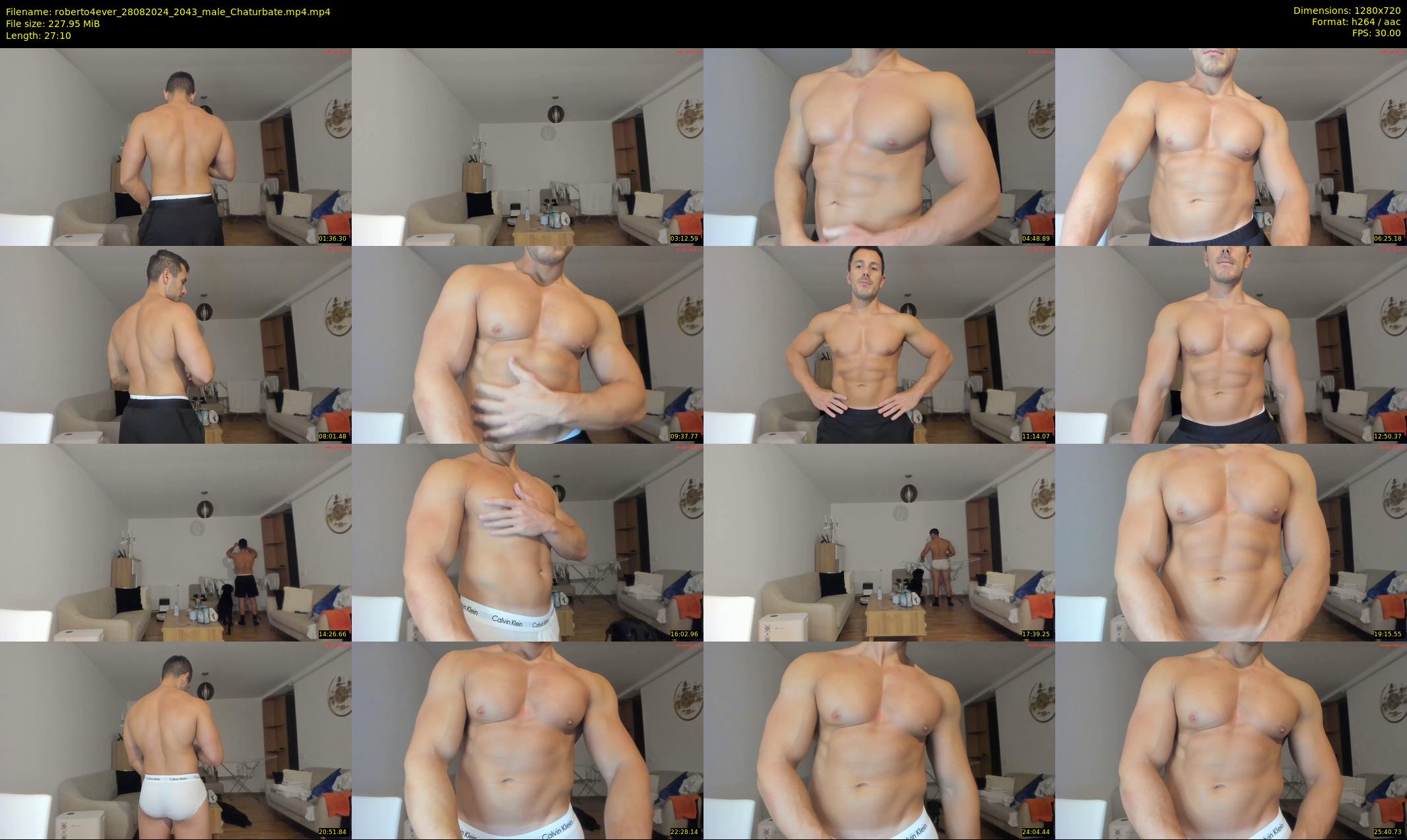 roberto4ever — 28 minute Chaturbate male cam show recording, 720p, Aug 28, 2024