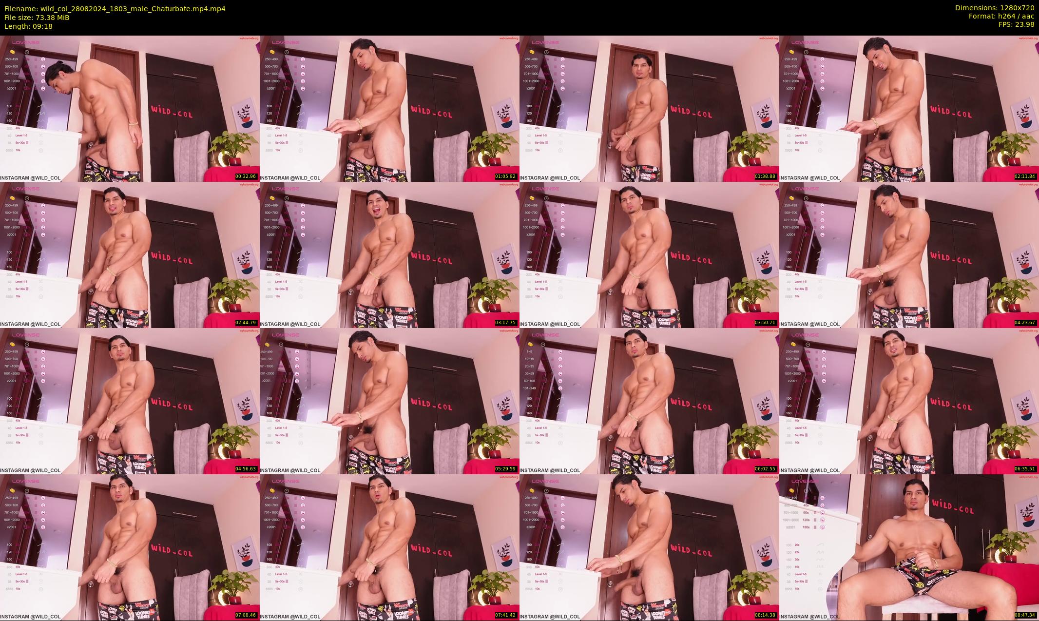 wild_col — 10 minute Chaturbate male cam show recording, 720p, Aug 28, 2024