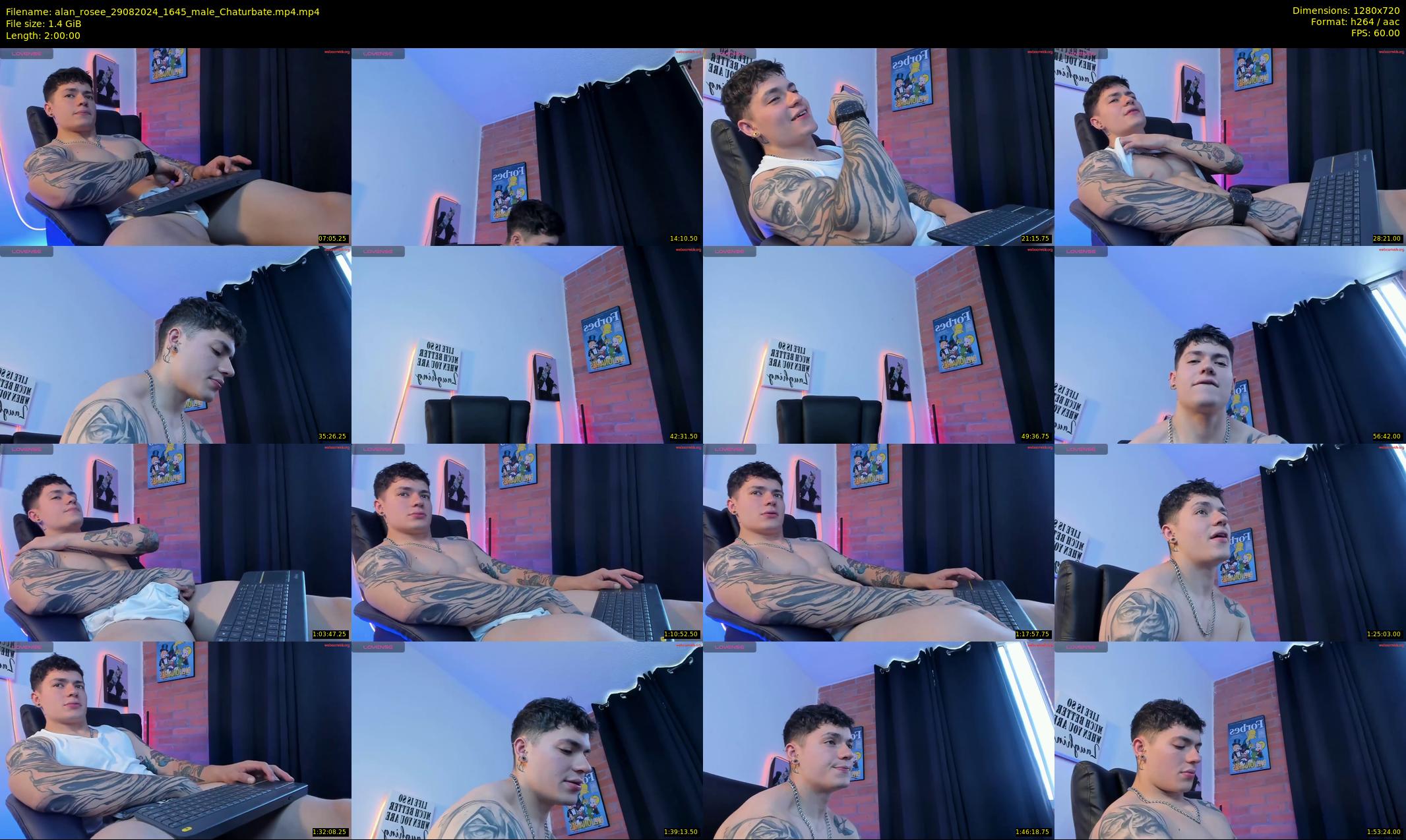 alan_rosee — 120 minute Chaturbate male cam show recording, 720p, Aug 29, 2024