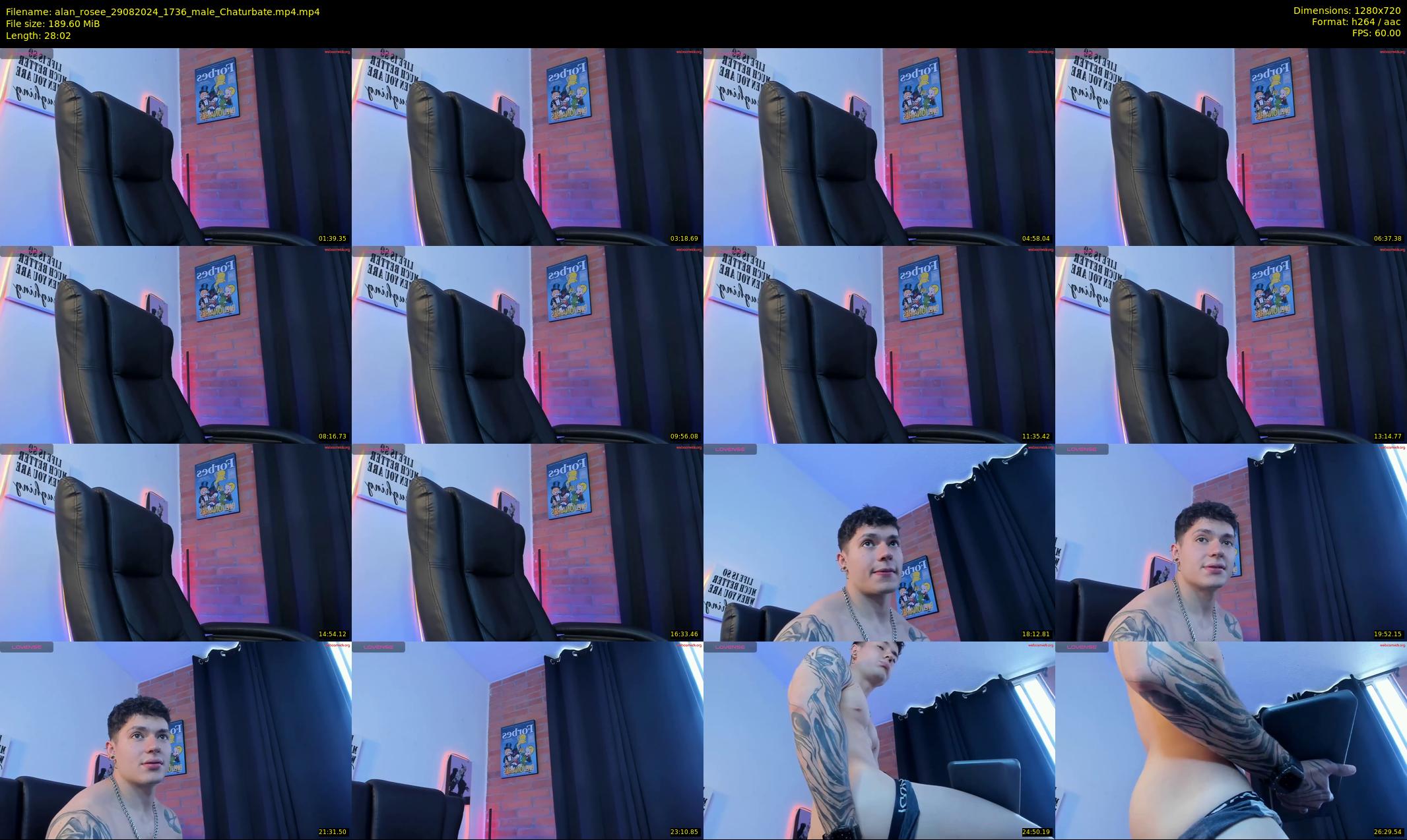 alan_rosee — 29 minute Chaturbate male cam show recording, 720p, Aug 29, 2024