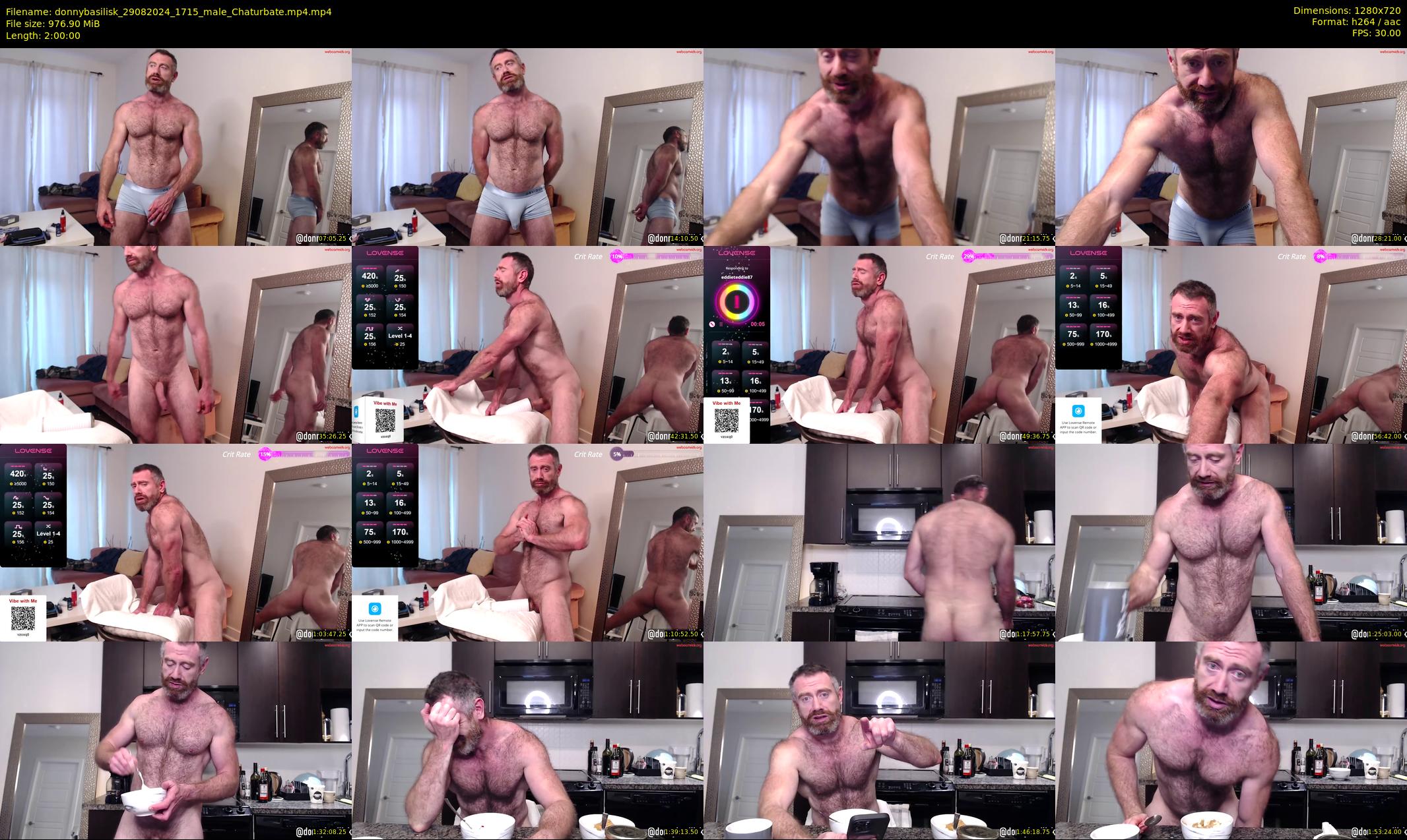 donnybasilisk — 120 minute Chaturbate male cam show recording, 720p, Aug 29, 2024
