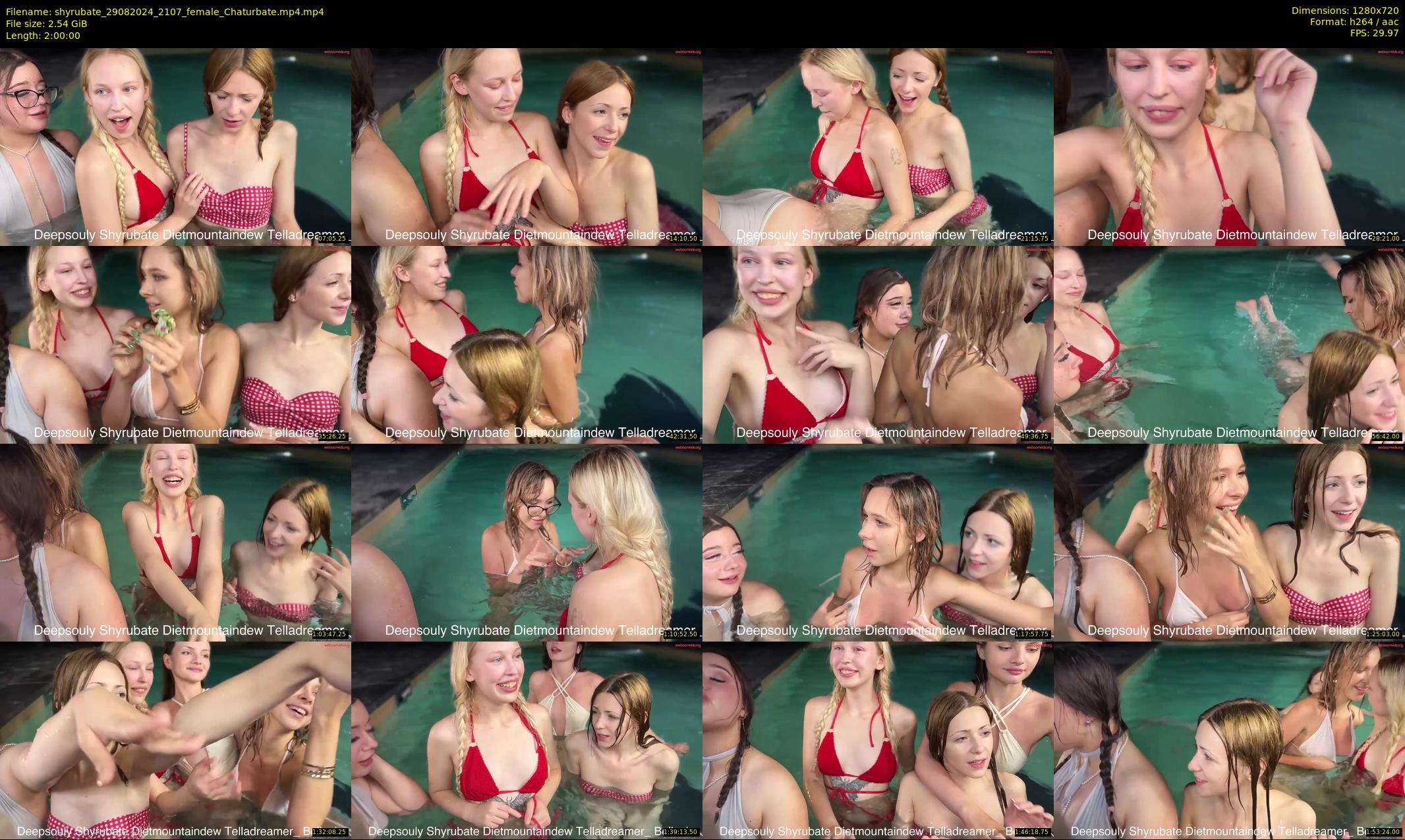shyrubate — 120 minute Chaturbate female cam show recording, 720p, Aug 29, 2024