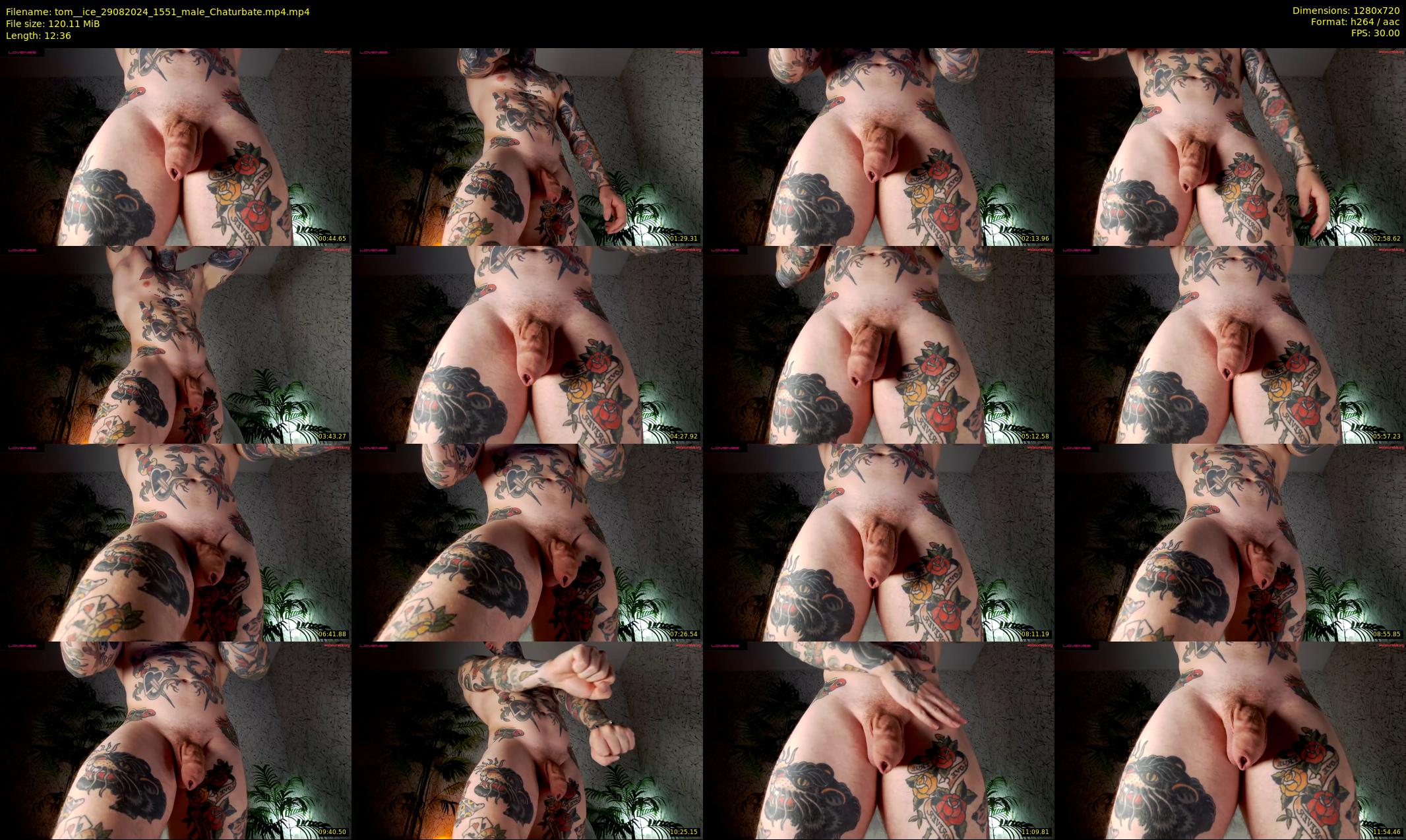 tom__ice — 13 minute Chaturbate male cam show recording, 720p, Aug 29, 2024