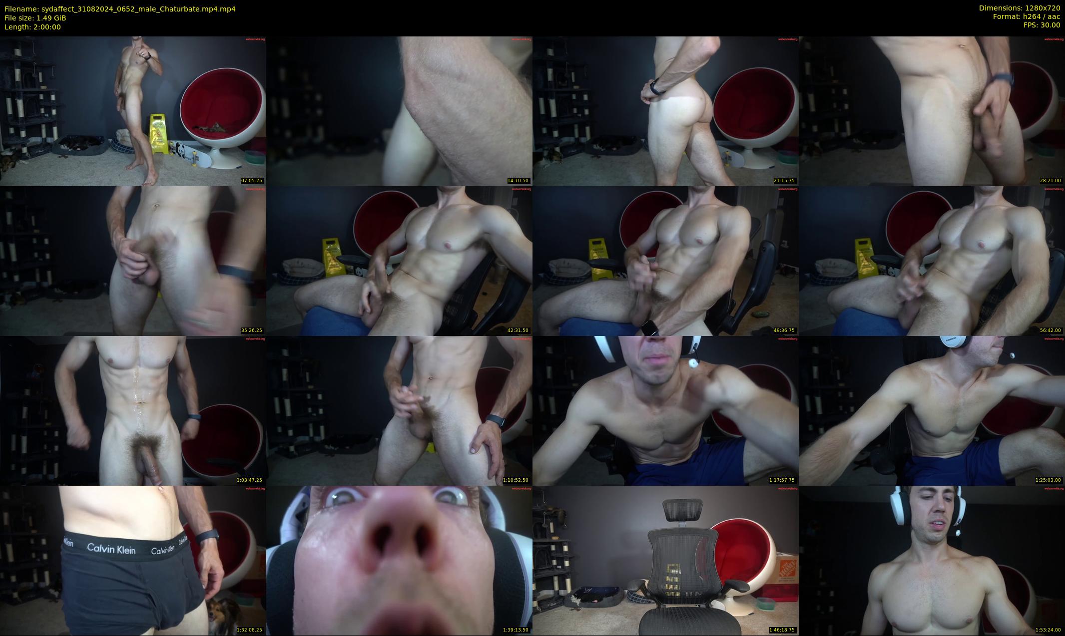 sydaffect — 120 minute Chaturbate male cam show recording, 720p, Aug 31, 2024
