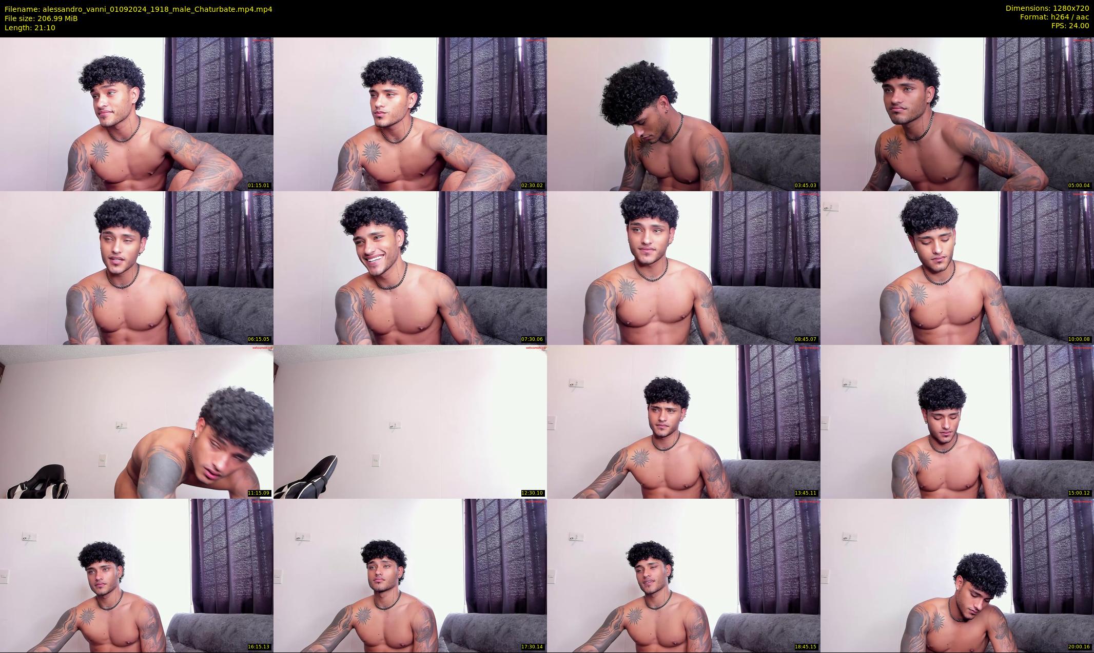 alessandro_vanni — 22 minute Chaturbate male cam show recording, 720p, Sep 1, 2024