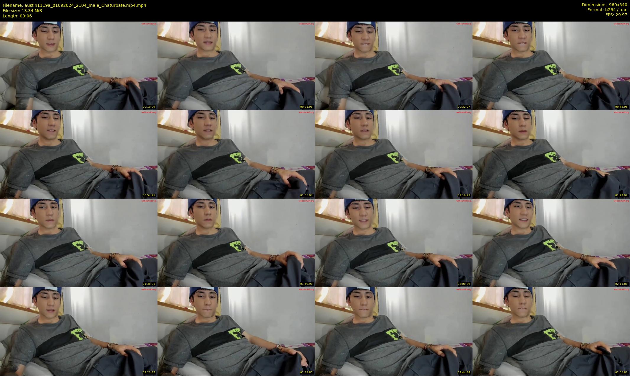 austin1119a — 4 minute Chaturbate male cam show recording, 480p, Sep 1, 2024