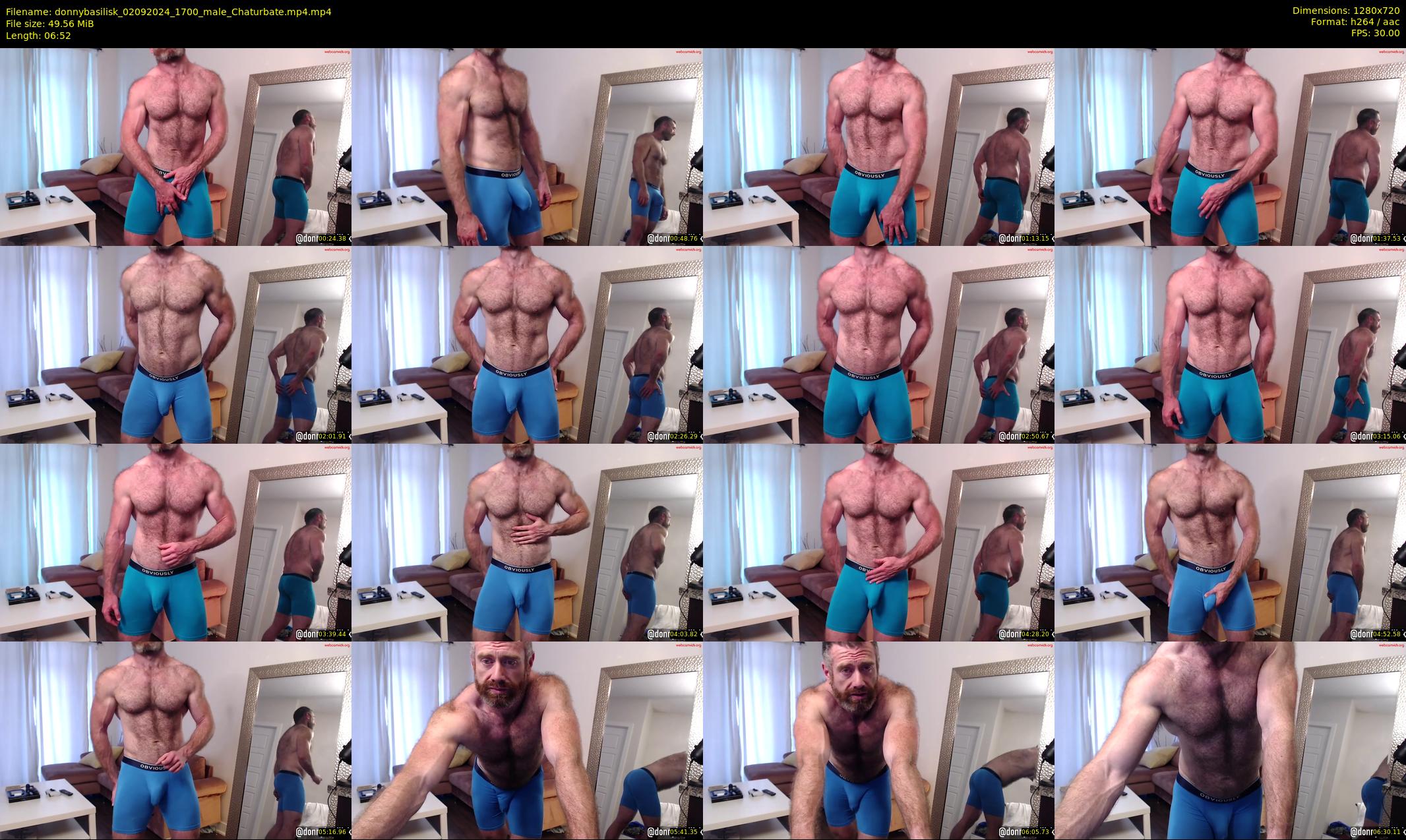 donnybasilisk — 7 minute Chaturbate male cam show recording, 720p, Sep 2, 2024