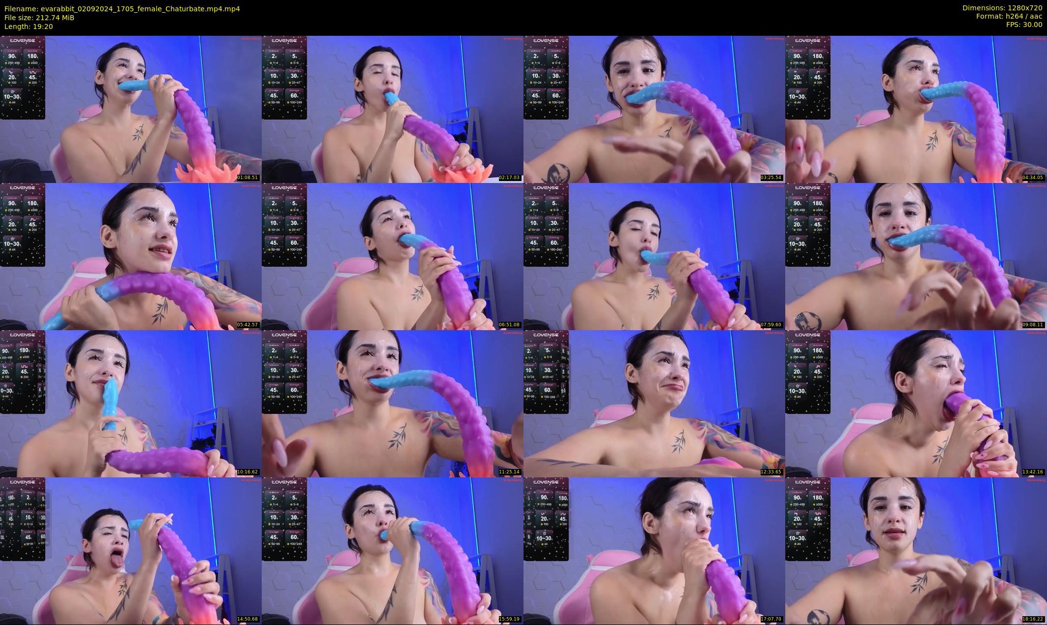 evarabbit — 20 minute Chaturbate female cam show recording, 720p, Sep 2, 2024