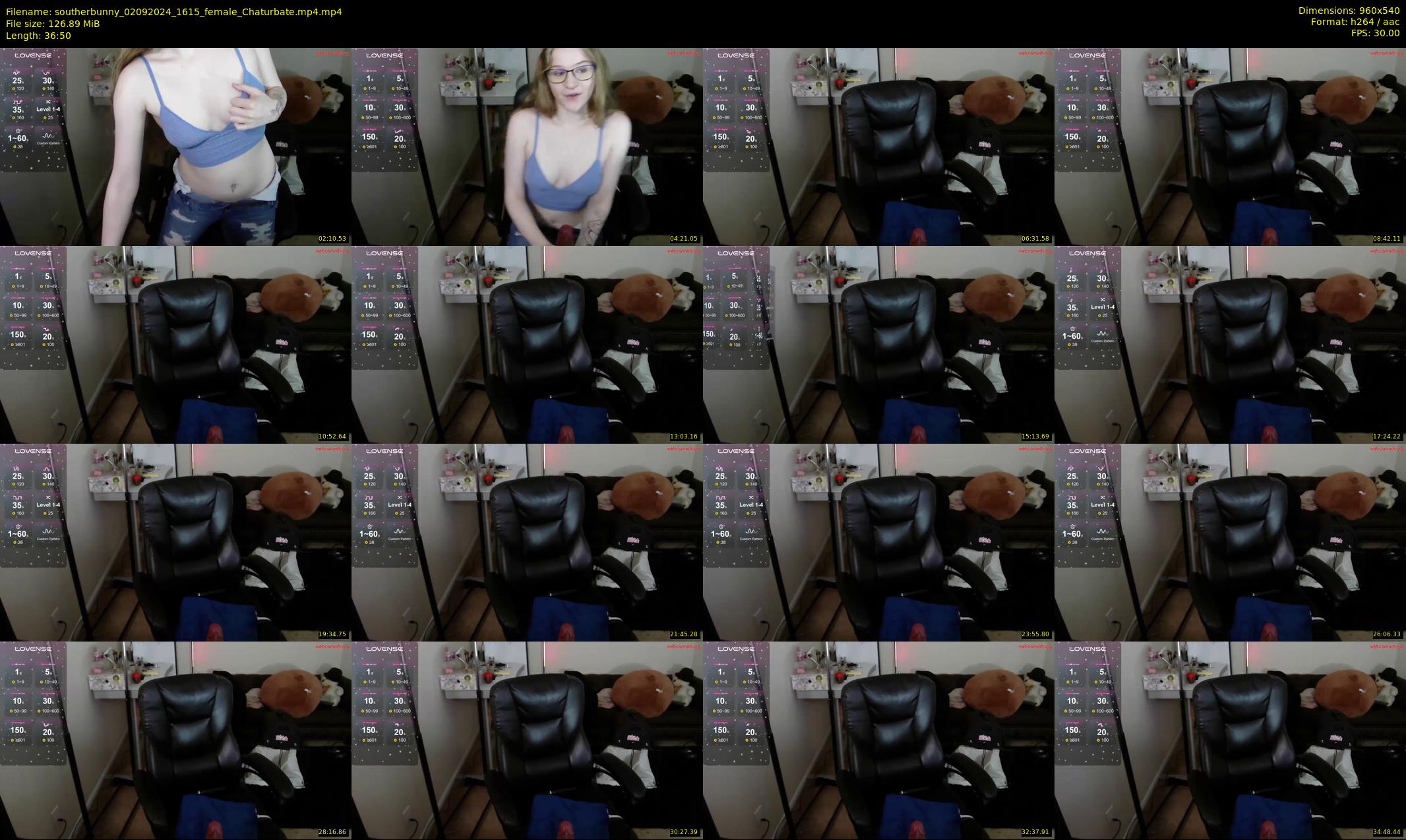 southerbunny — 37 minute Chaturbate female cam show recording, 480p, Sep 2, 2024