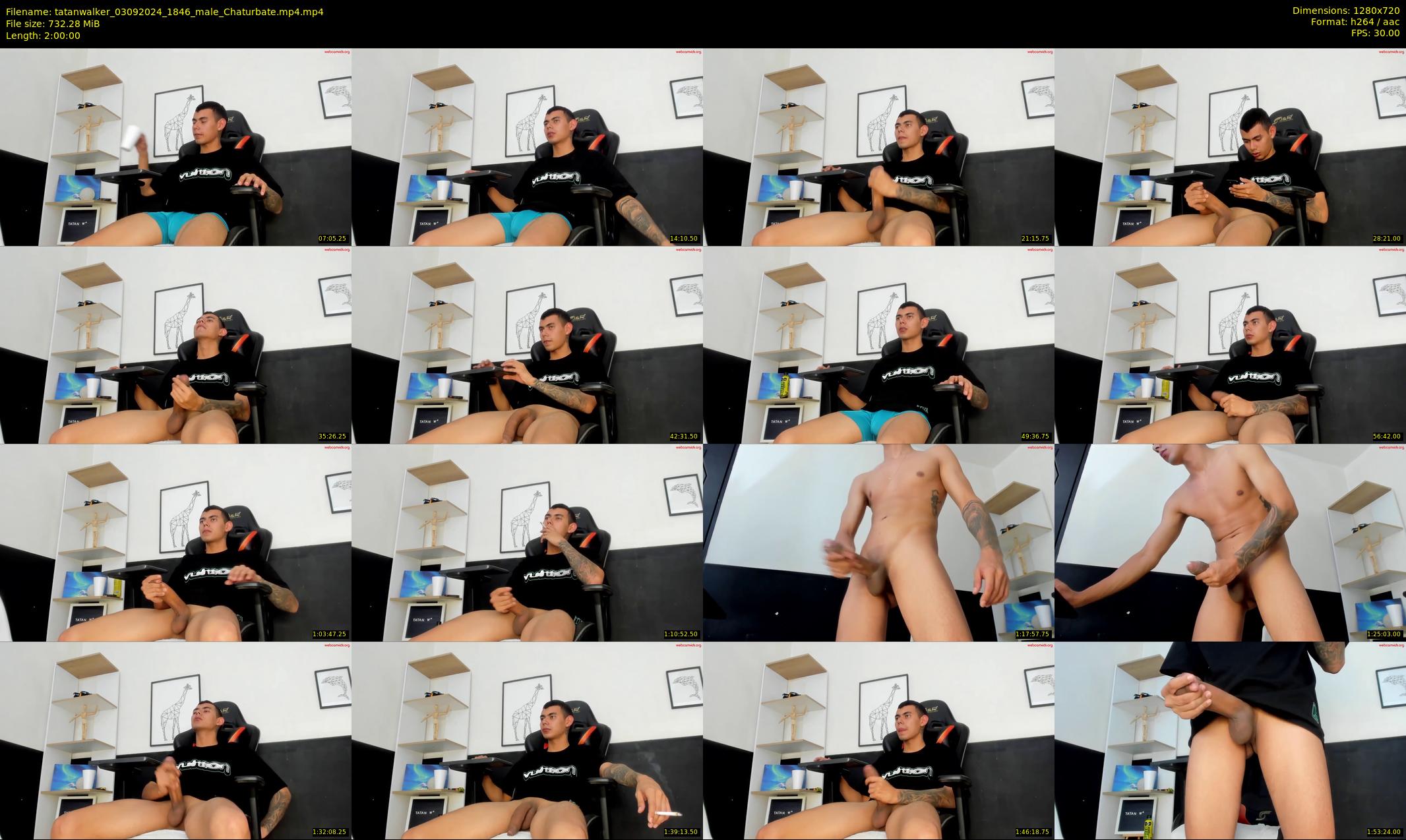 tatanwalker — 120 minute Chaturbate male cam show recording, 720p, Sep 3, 2024