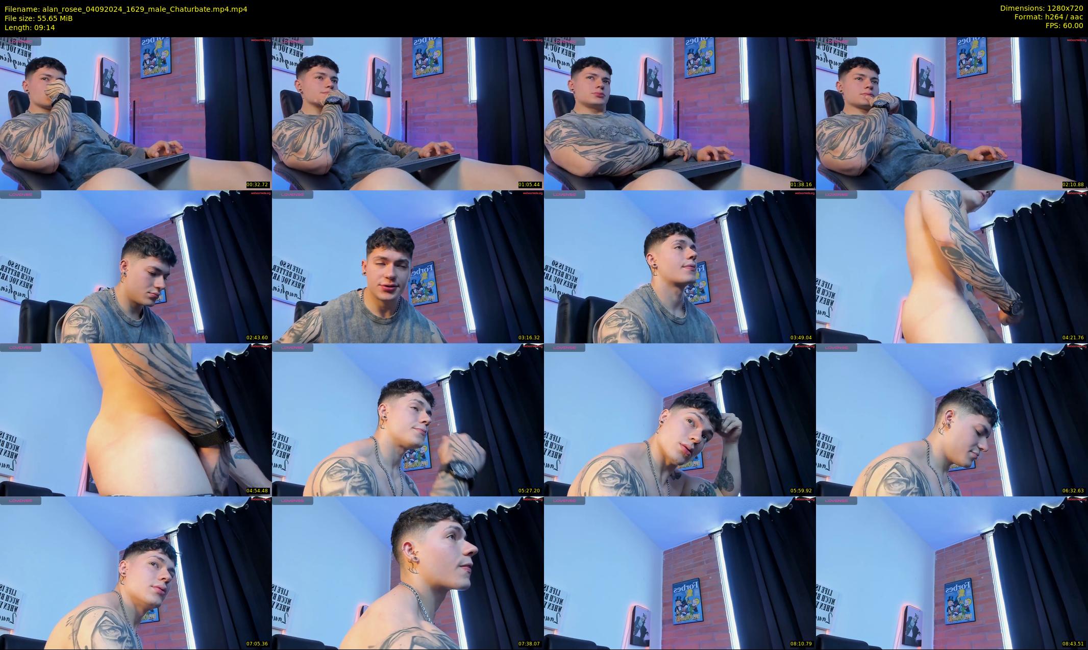 alan_rosee — 10 minute Chaturbate male cam show recording, 720p, Sep 4, 2024