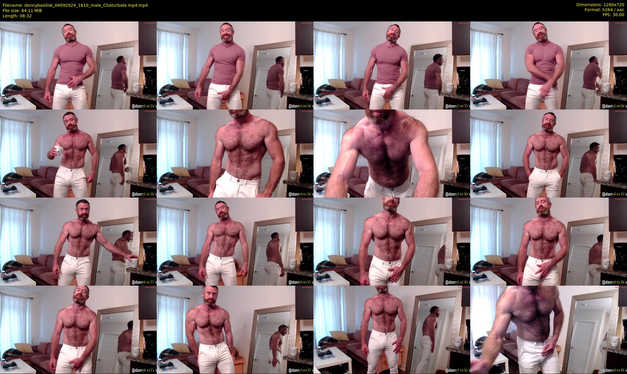 donnybasilisk — 9 minute Chaturbate male cam show recording, 720p, Sep 4, 2024